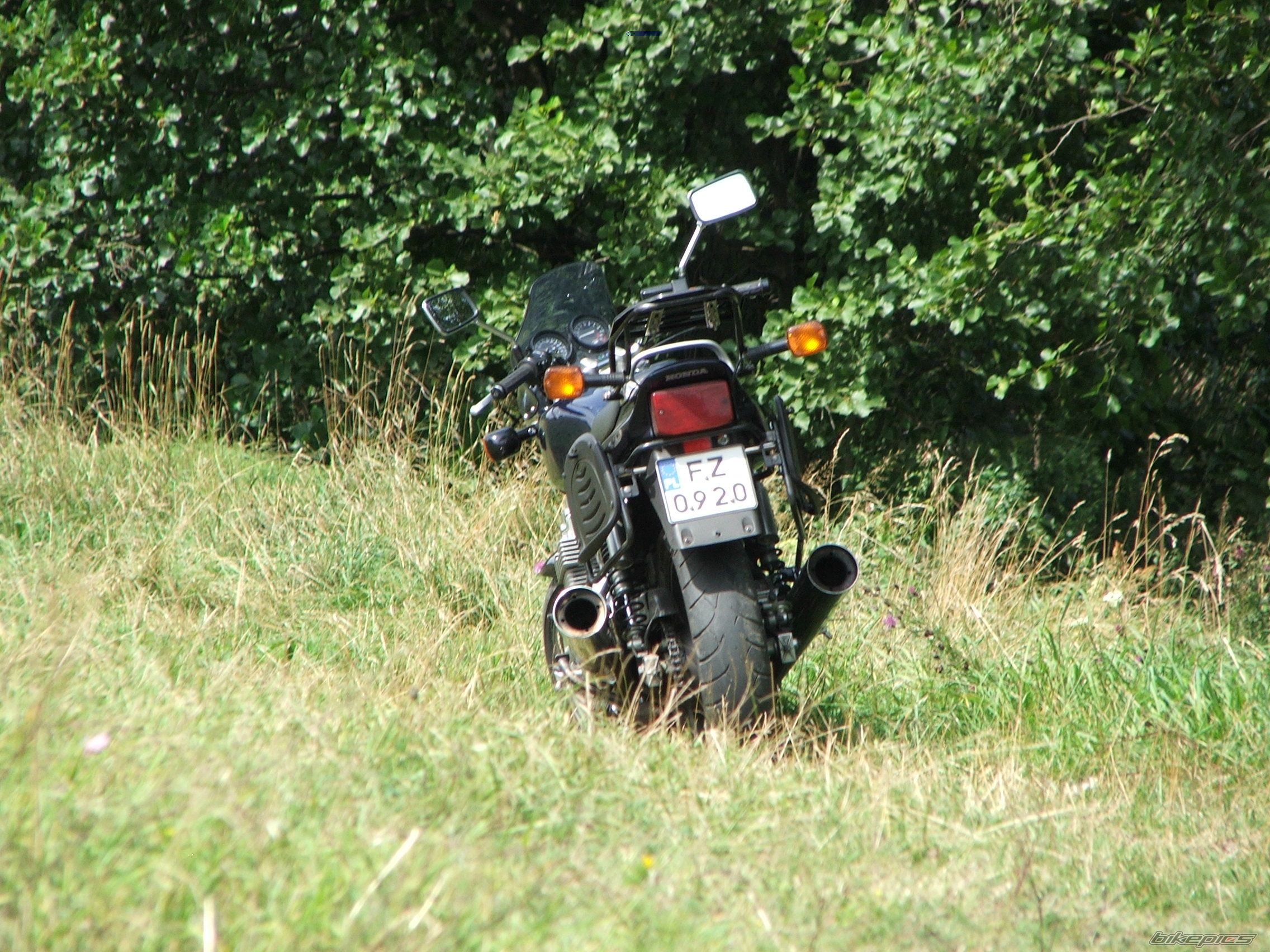 Photo 1474232
