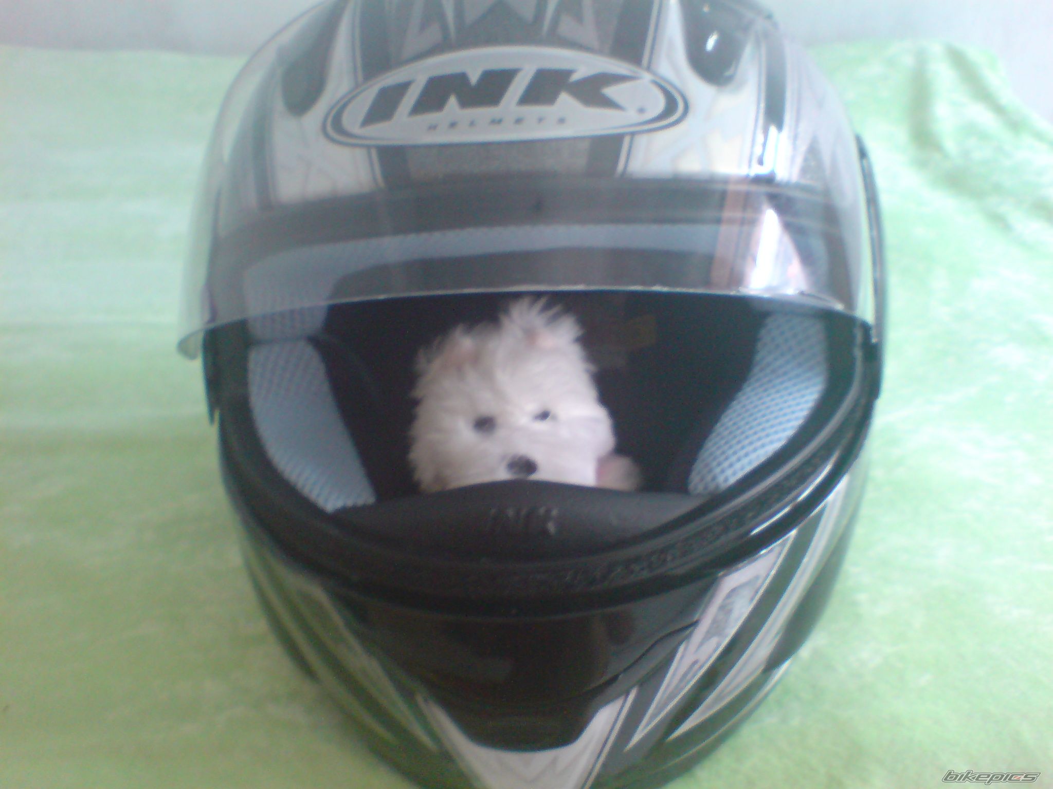 Bike Photo 1474270