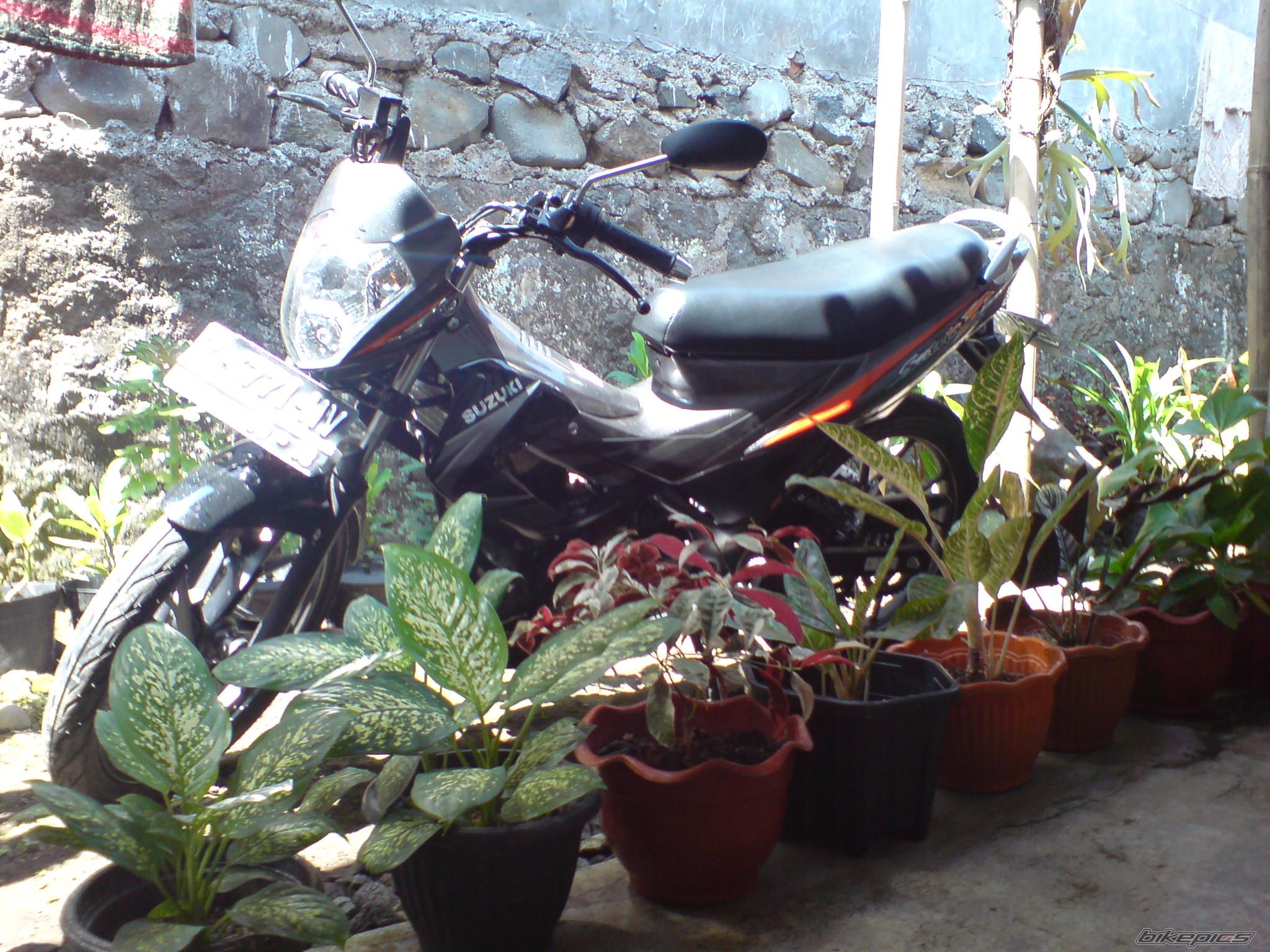 Bike Photo 1474276