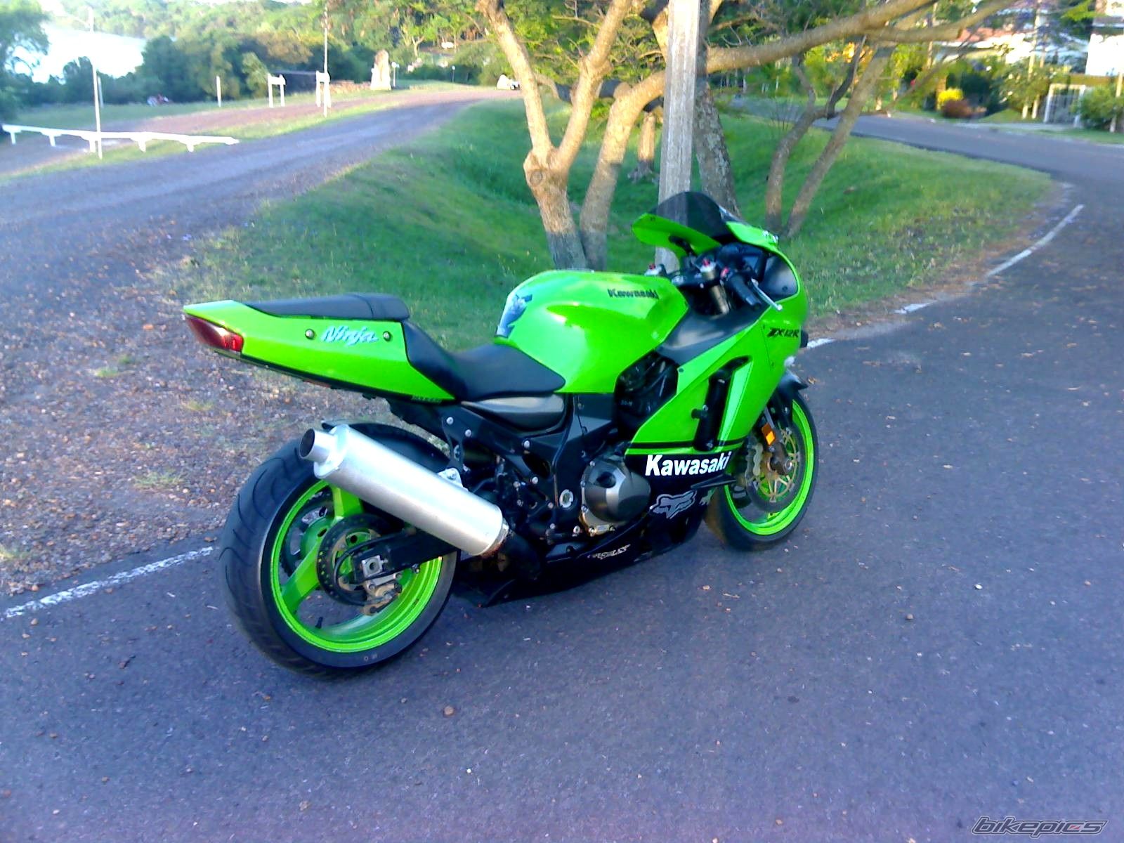 Photo 1474366