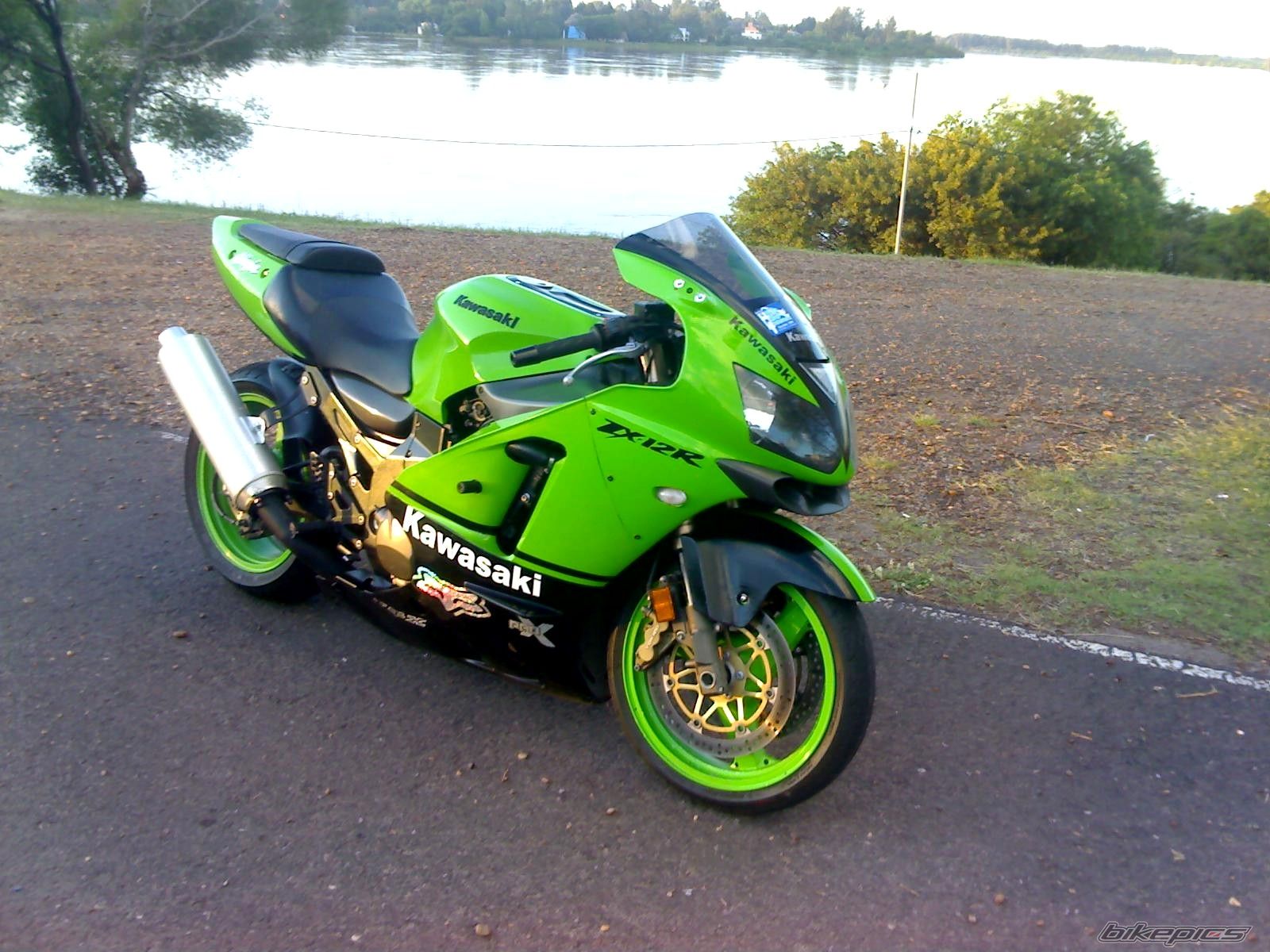 Photo 1474368