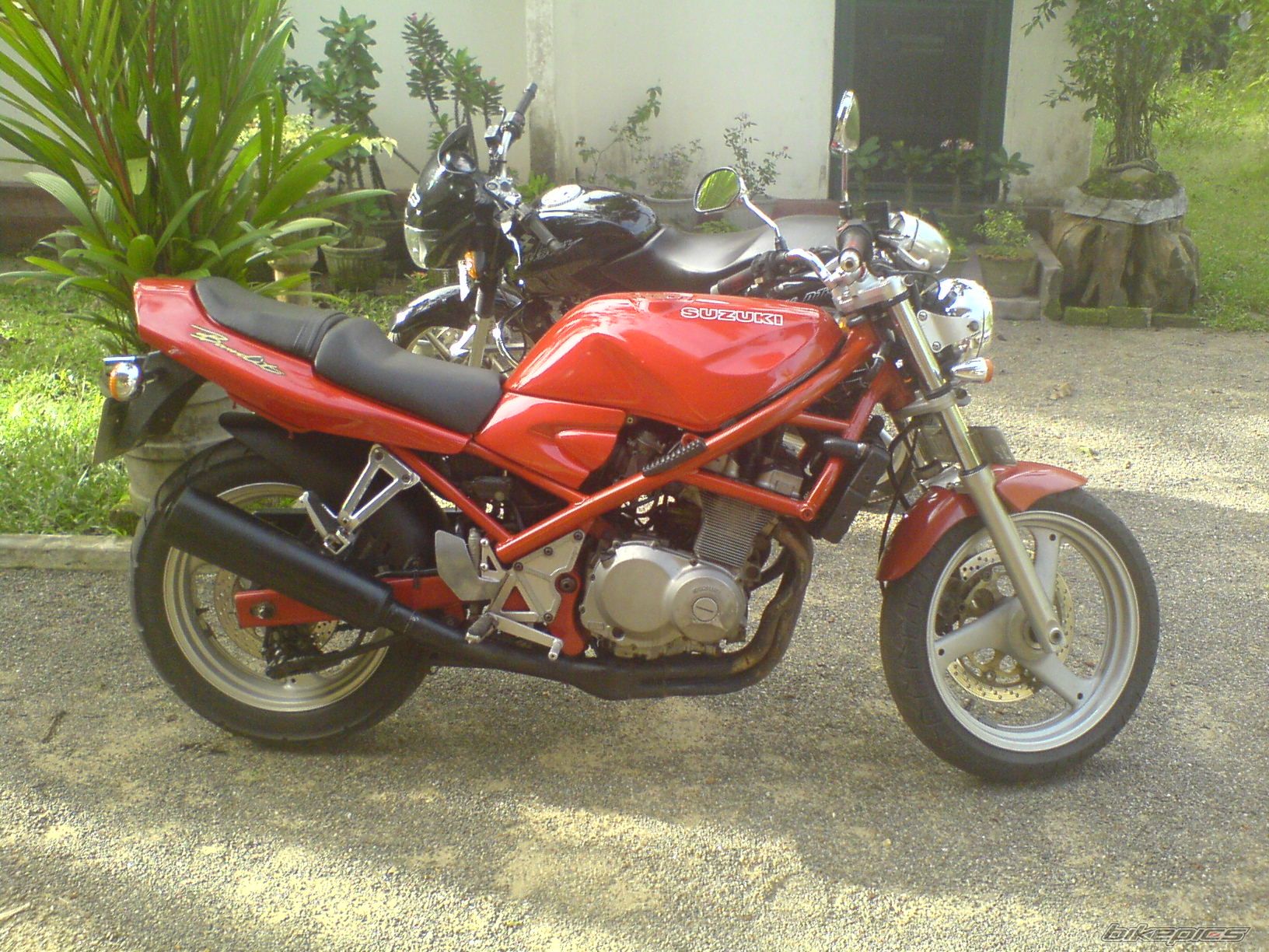 Photo 1474407