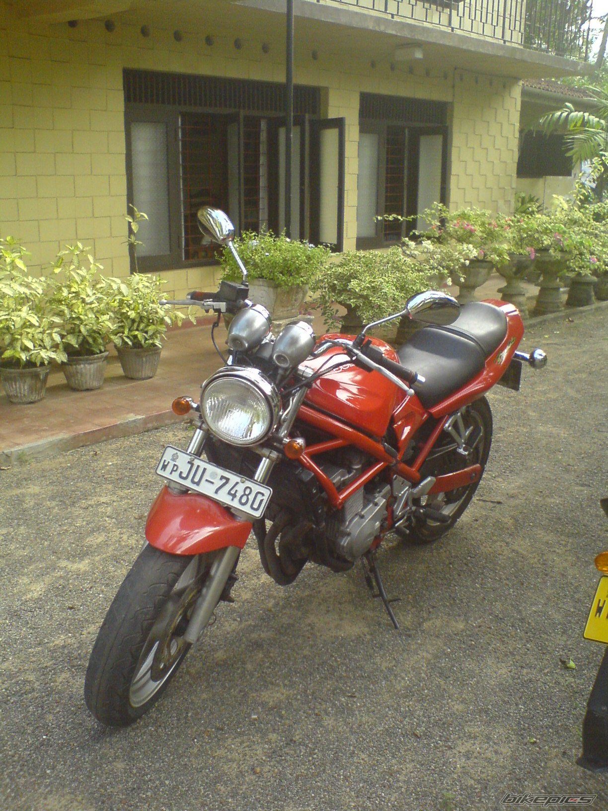 Photo 1474409