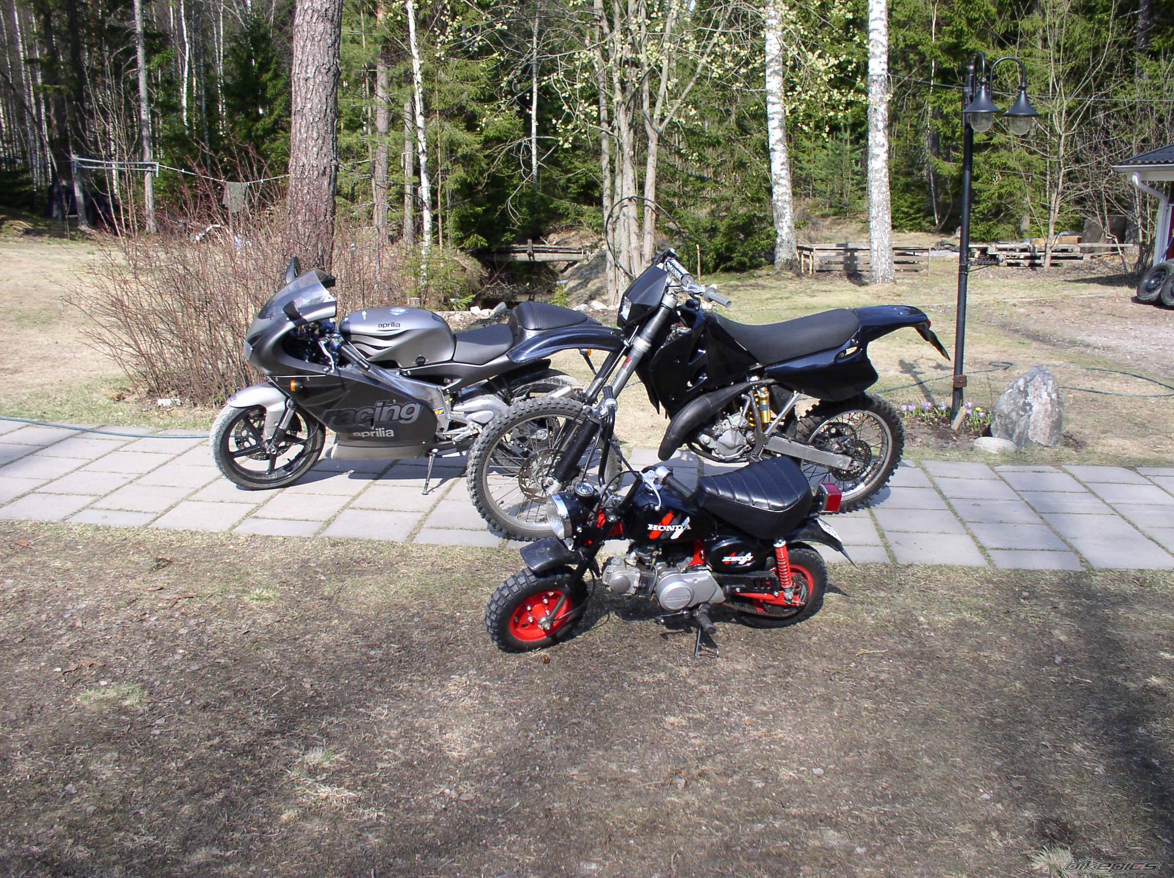 Photo 147444