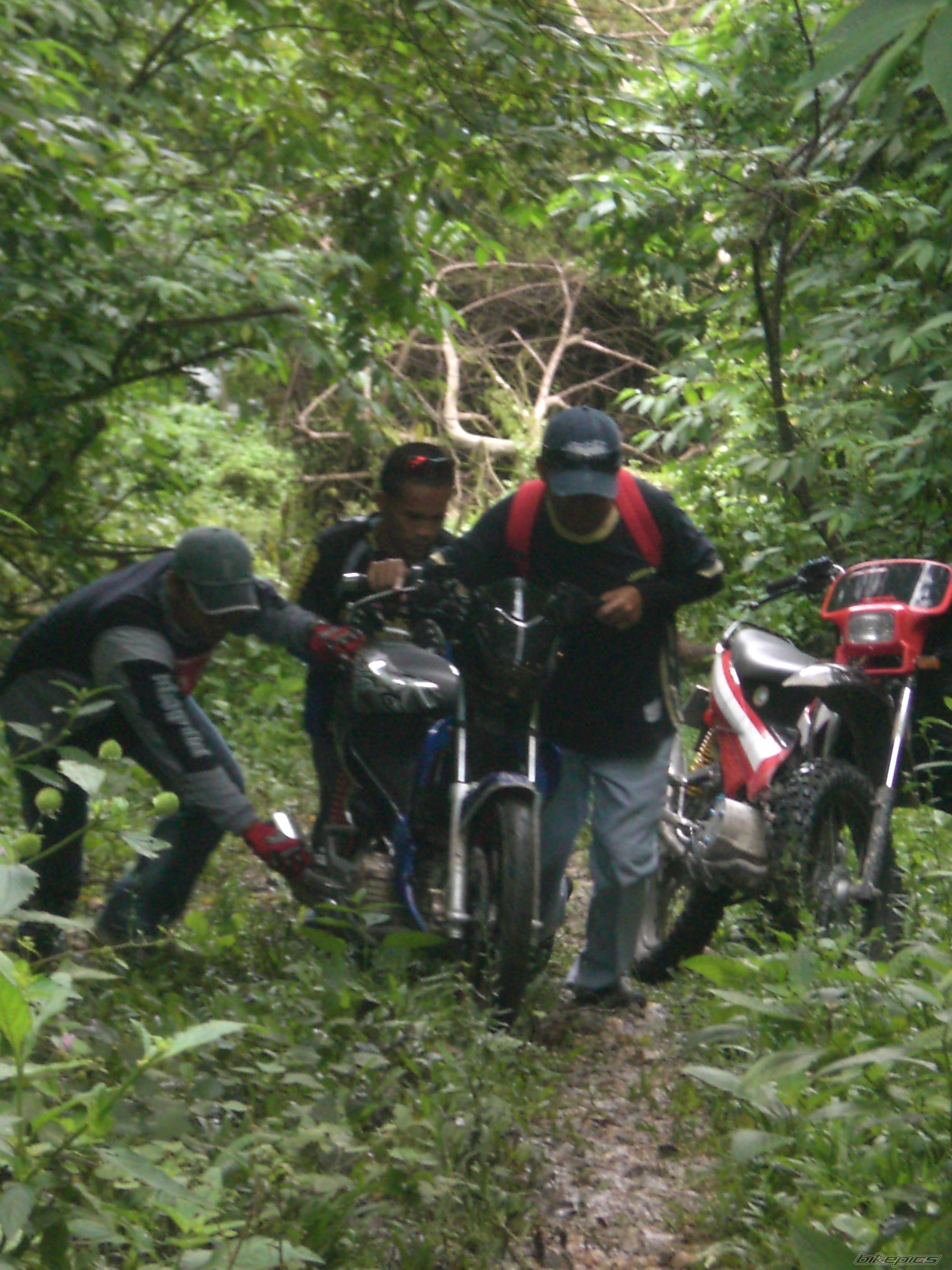 Photo 1474514