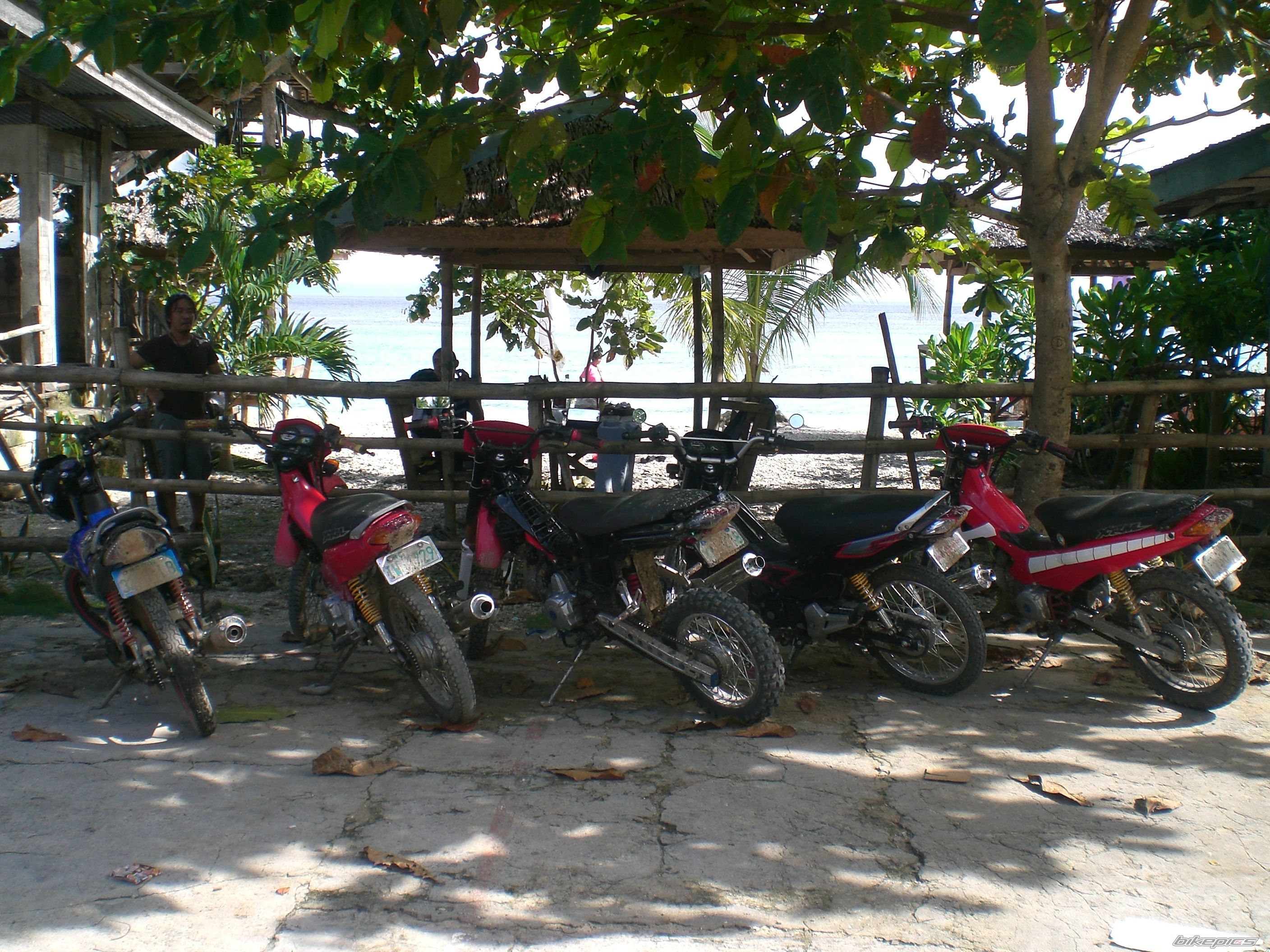 Photo 1474531