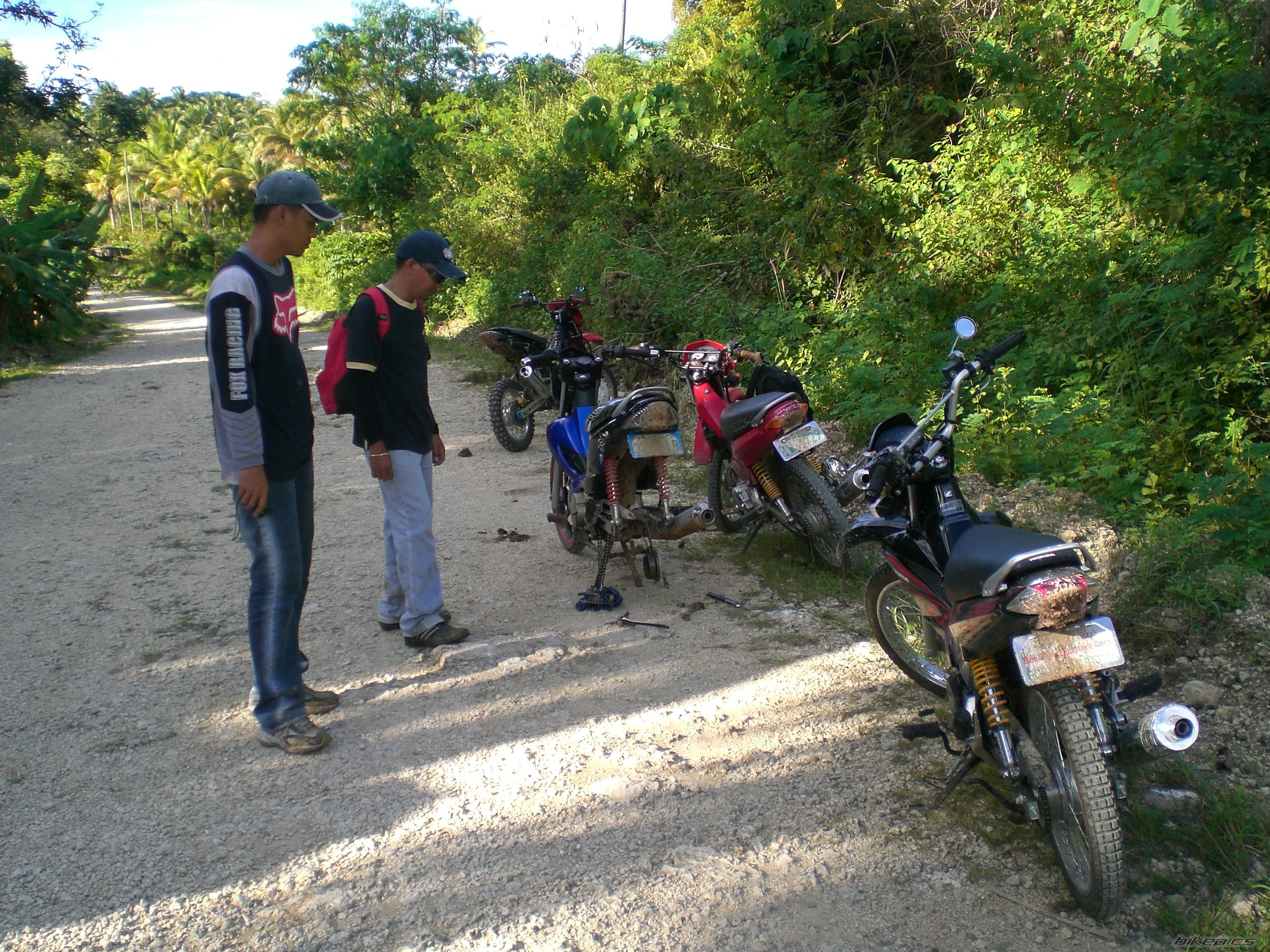 Photo 1474540