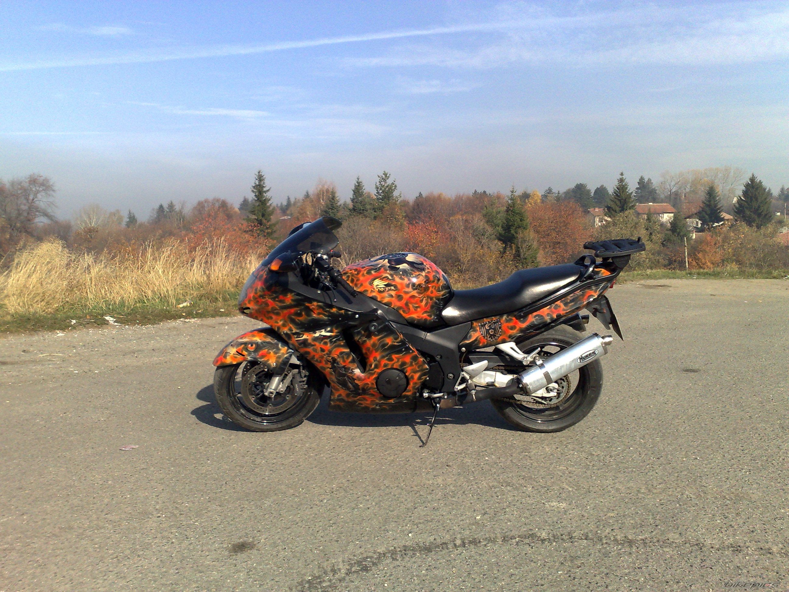 Photo 1474649