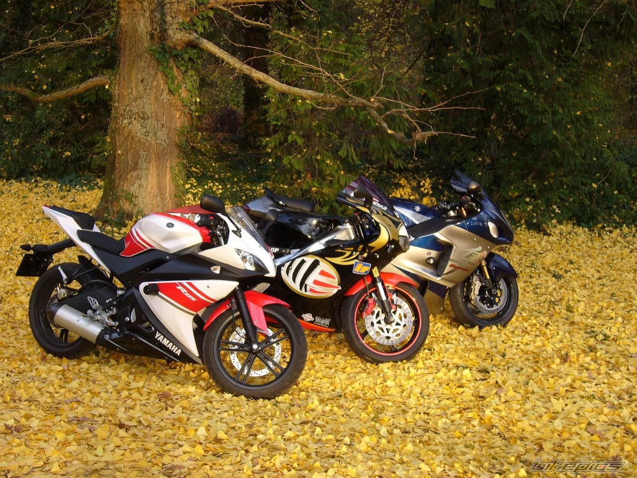 Bike Photo 1474670