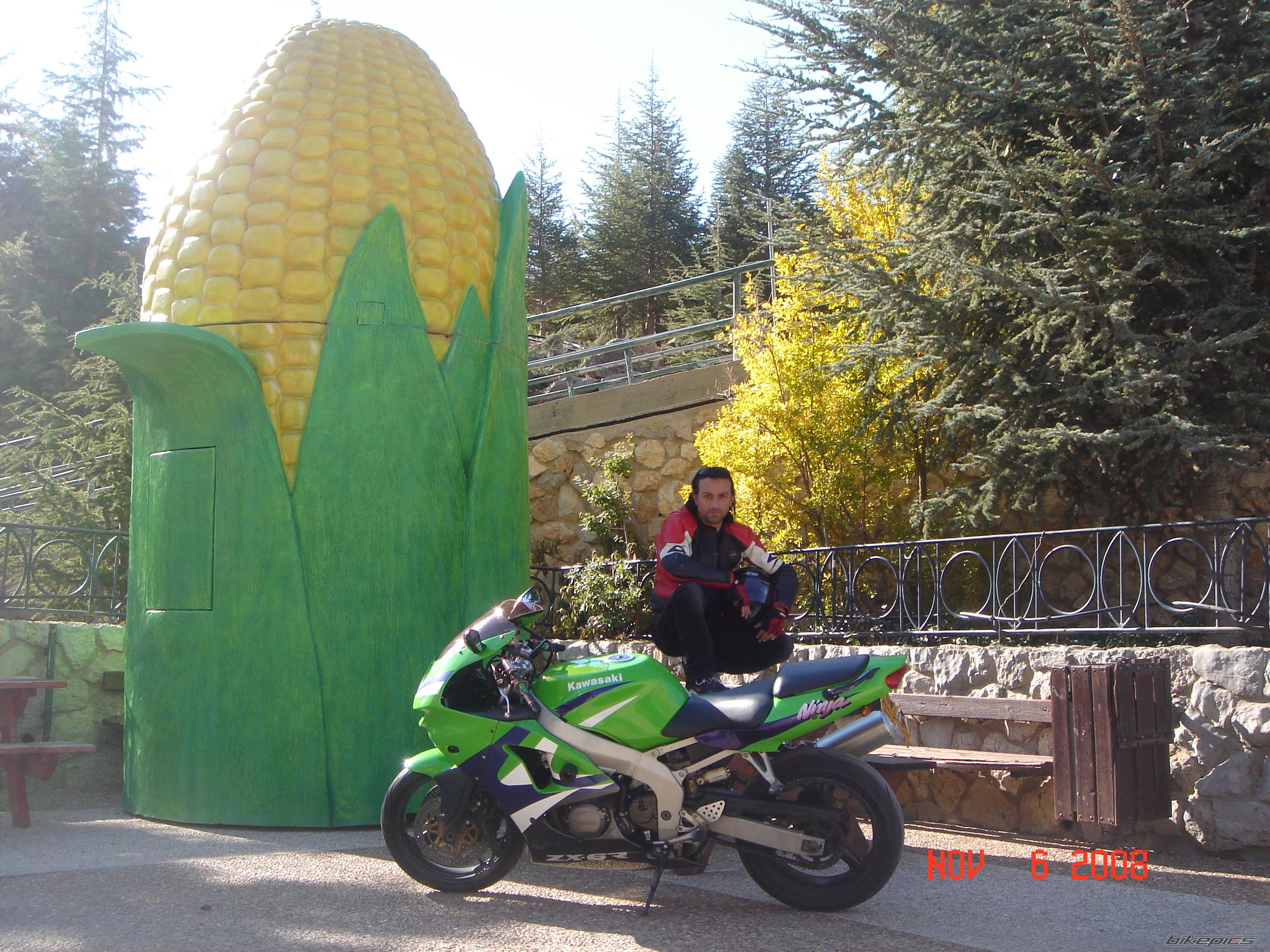 Photo 1474706