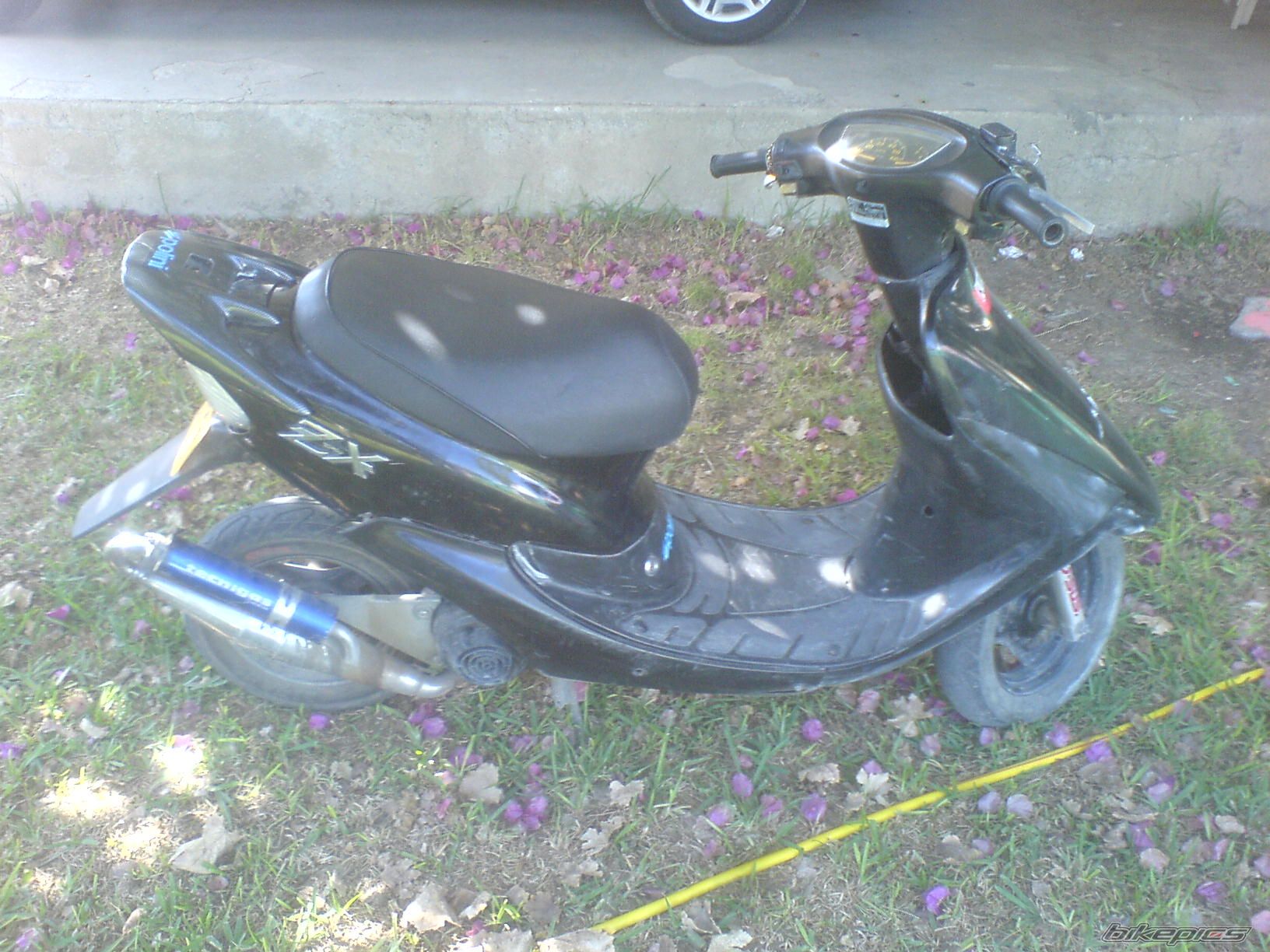Photo 1474725