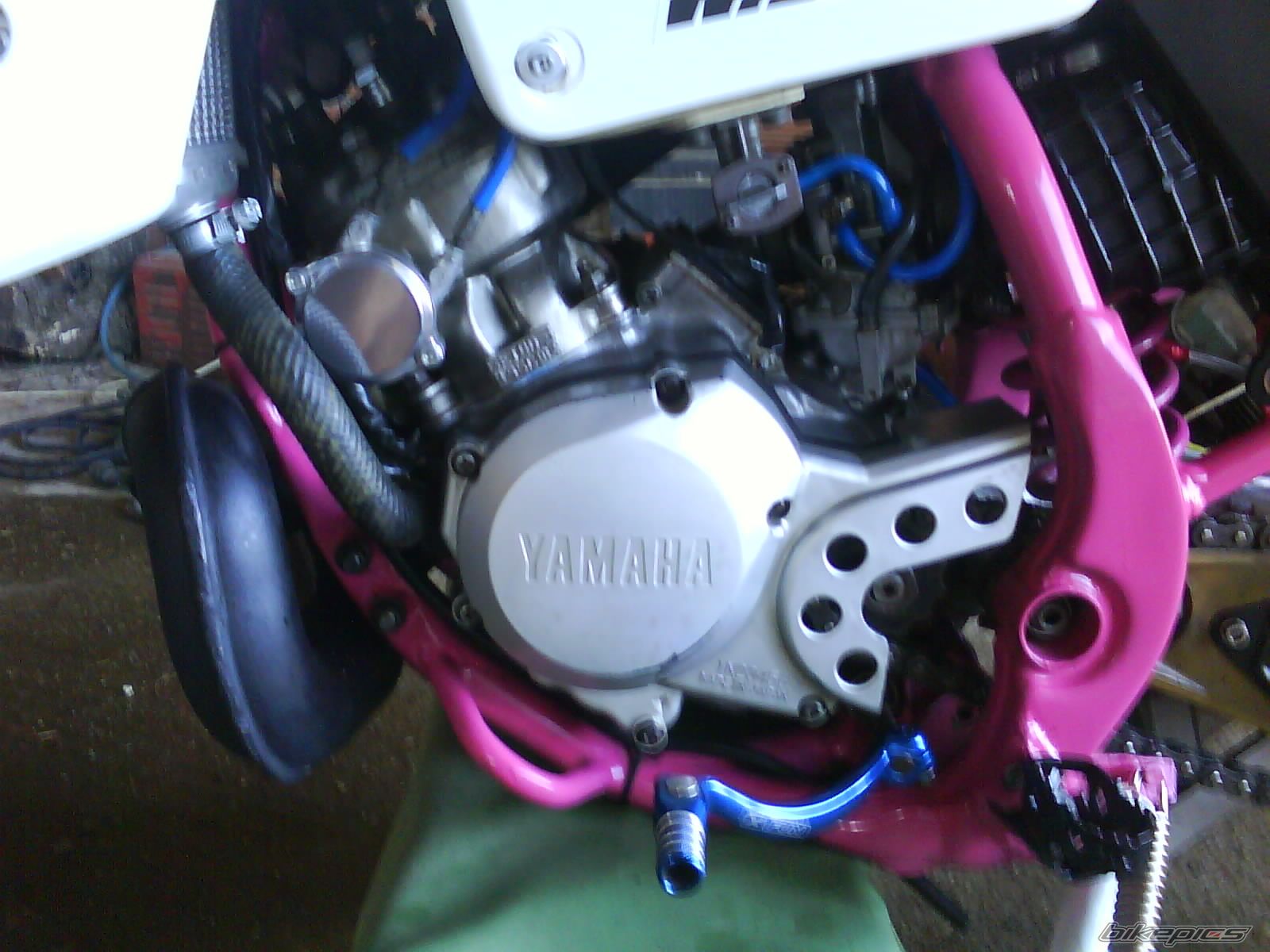 Photo 1474912