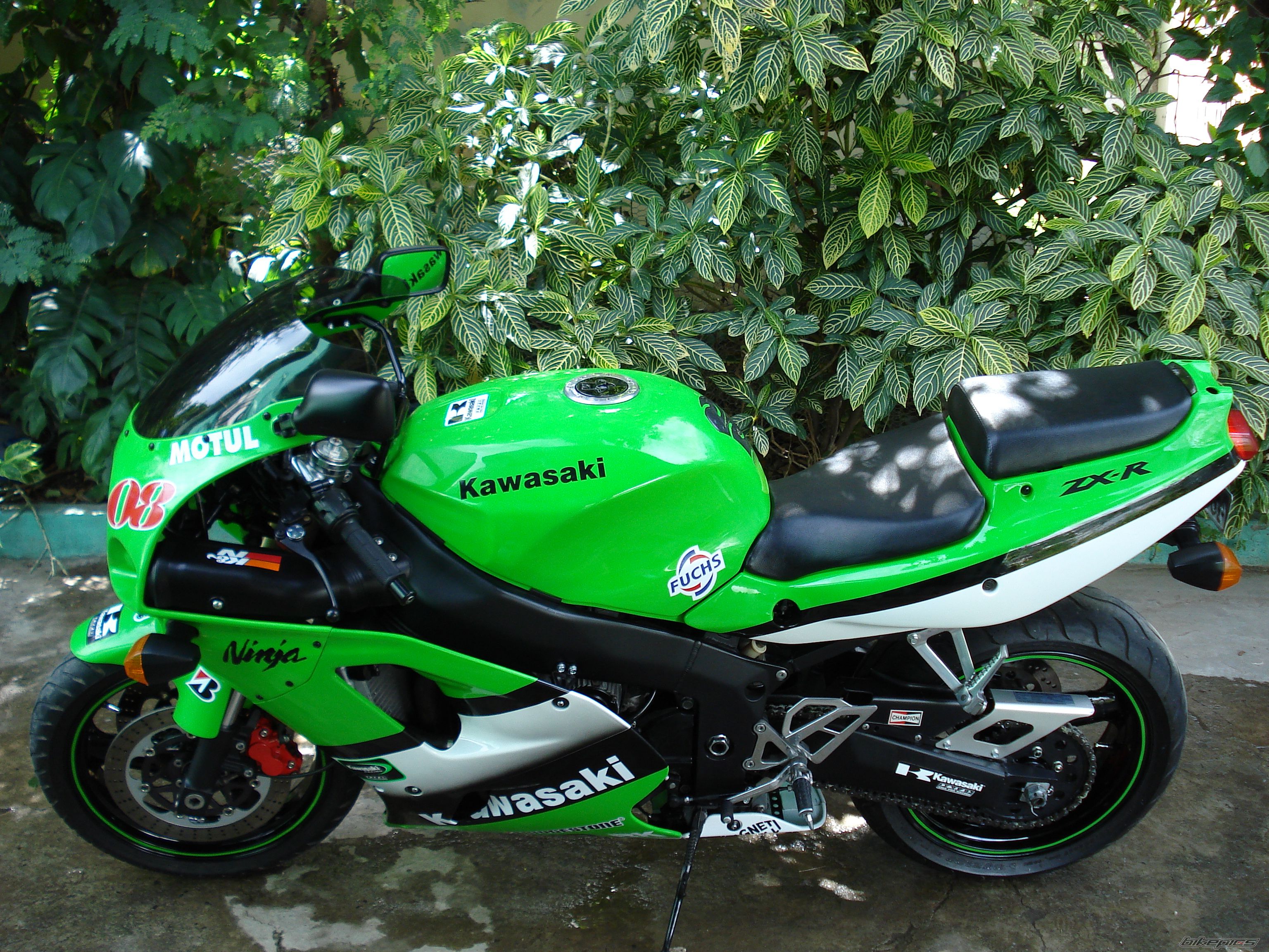 Photo 1475007