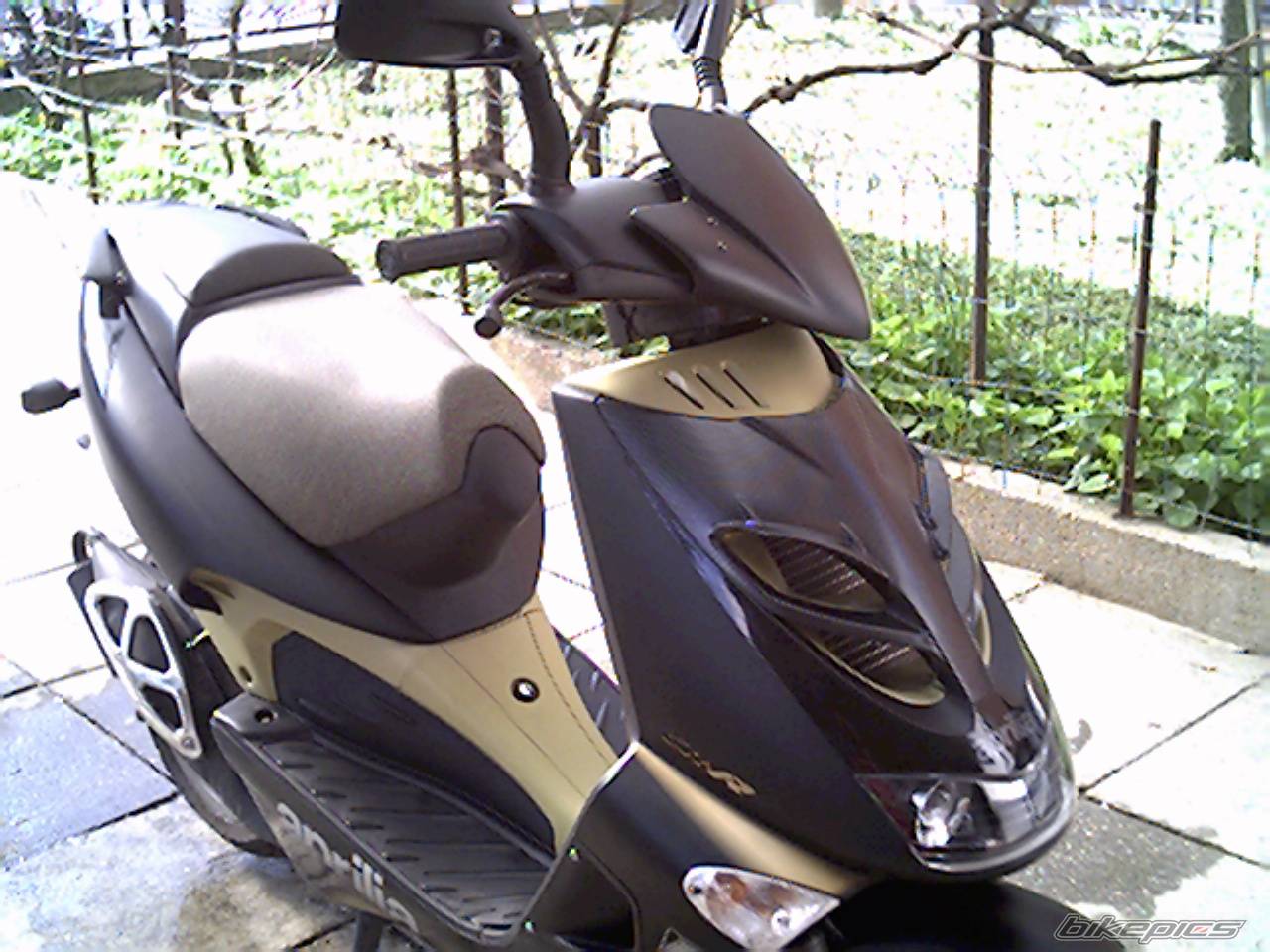 Bike Photo 147506