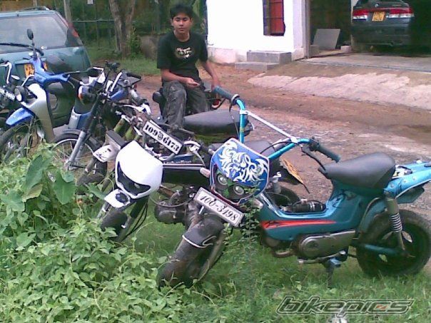 Photo 1475068
