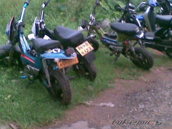 Photo 1475069
