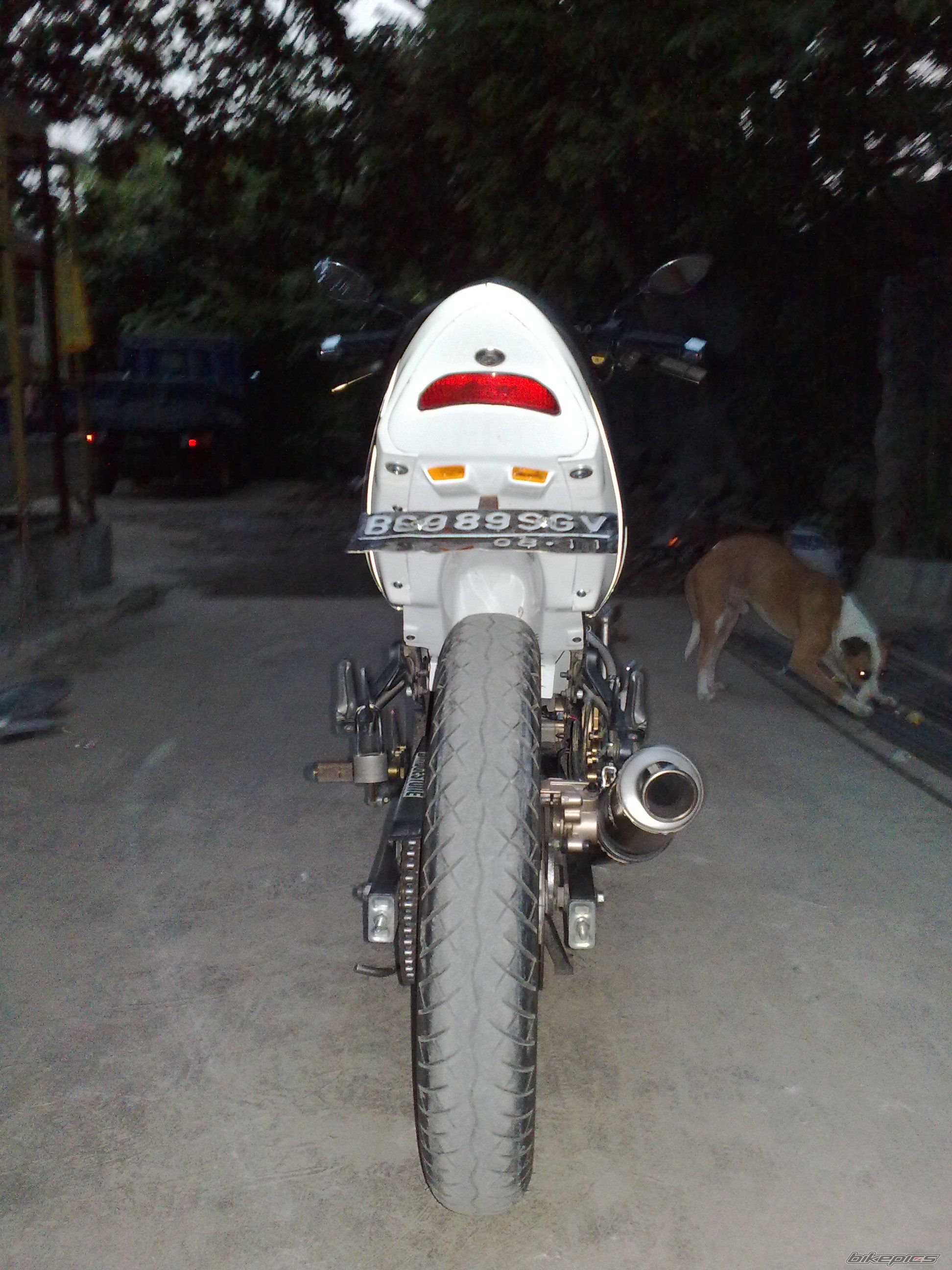 Photo 1475073