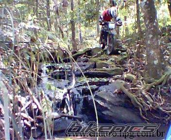 Bike Photo 147515