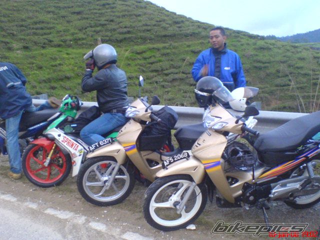 Photo 1475179