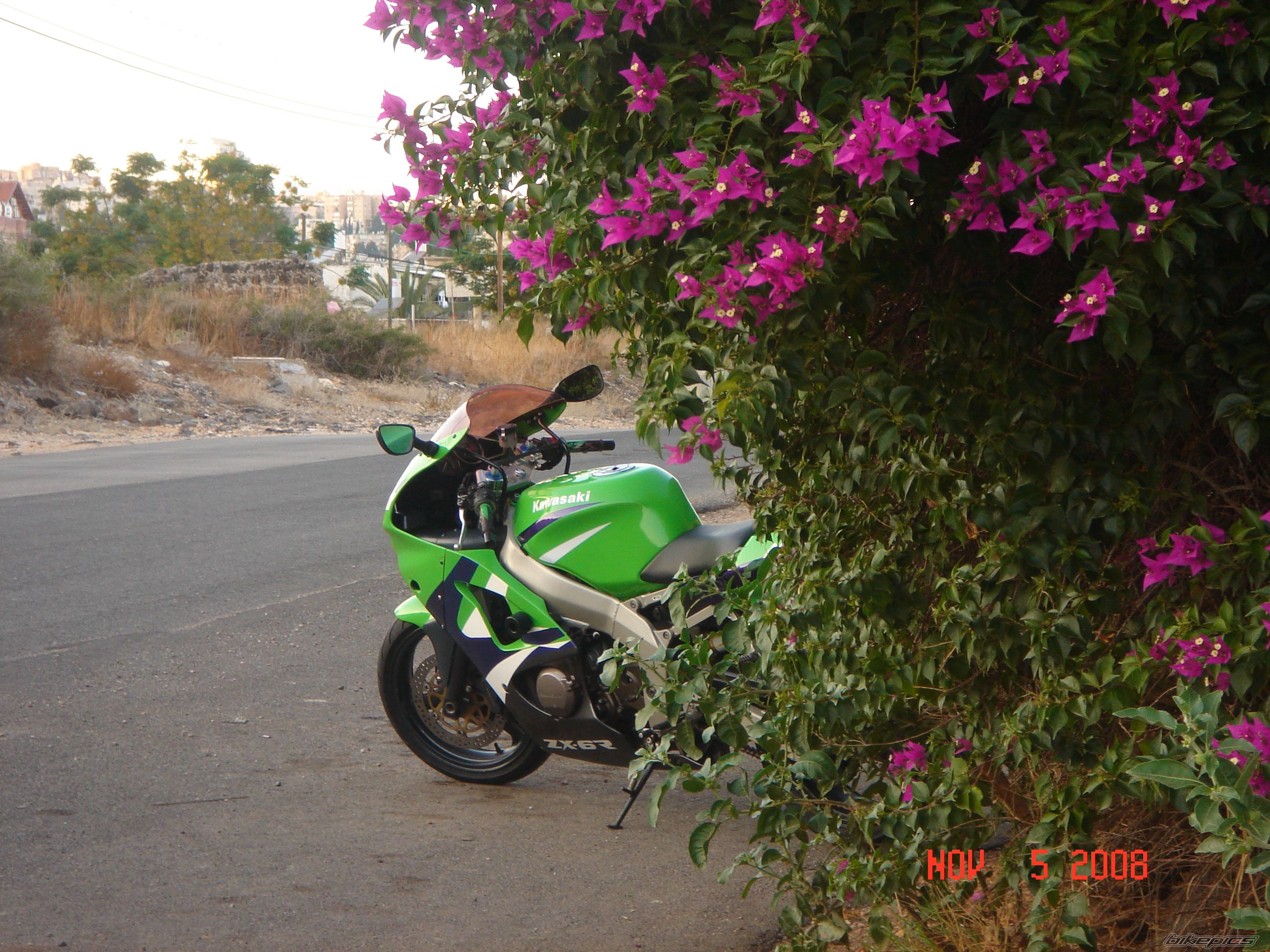 Photo 1475233