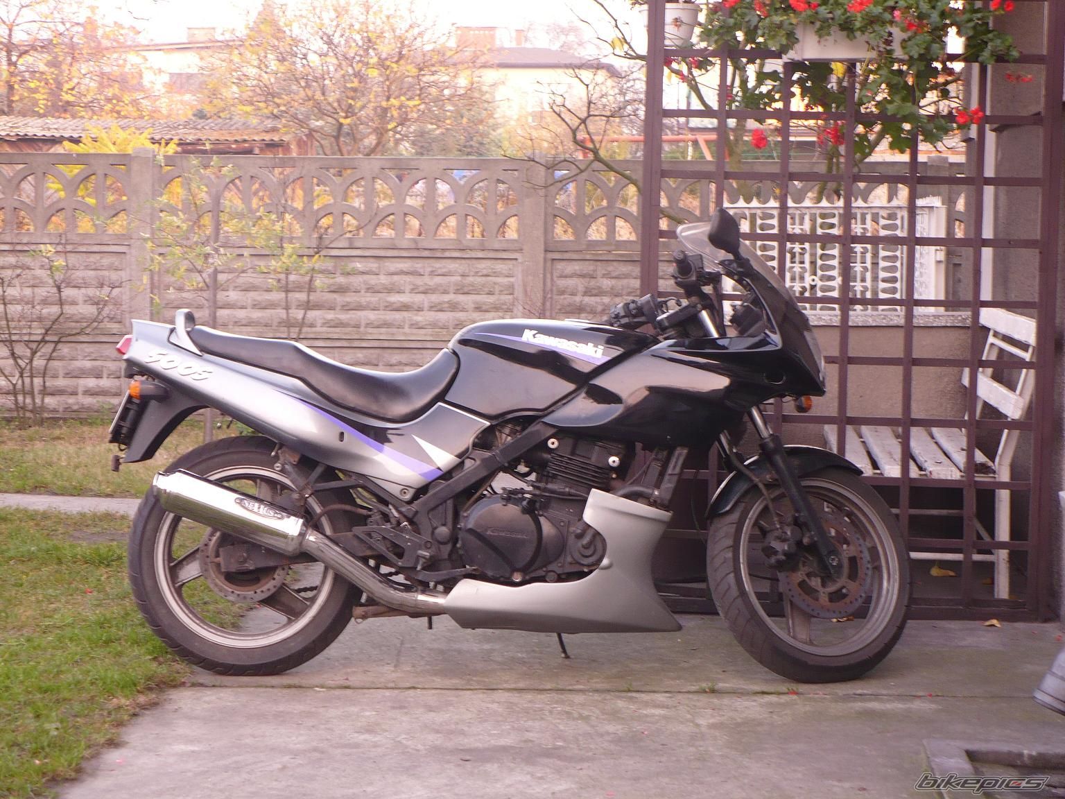 Photo 1475361
