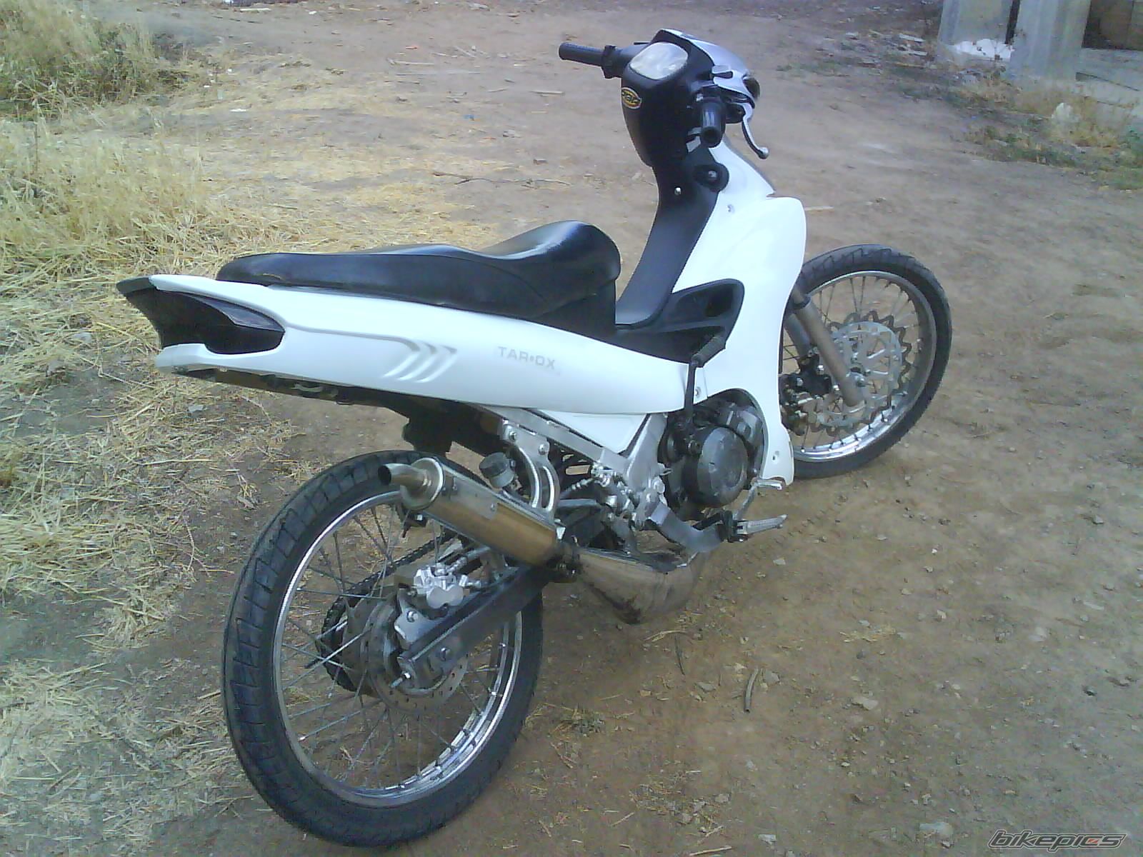 Photo 1475413