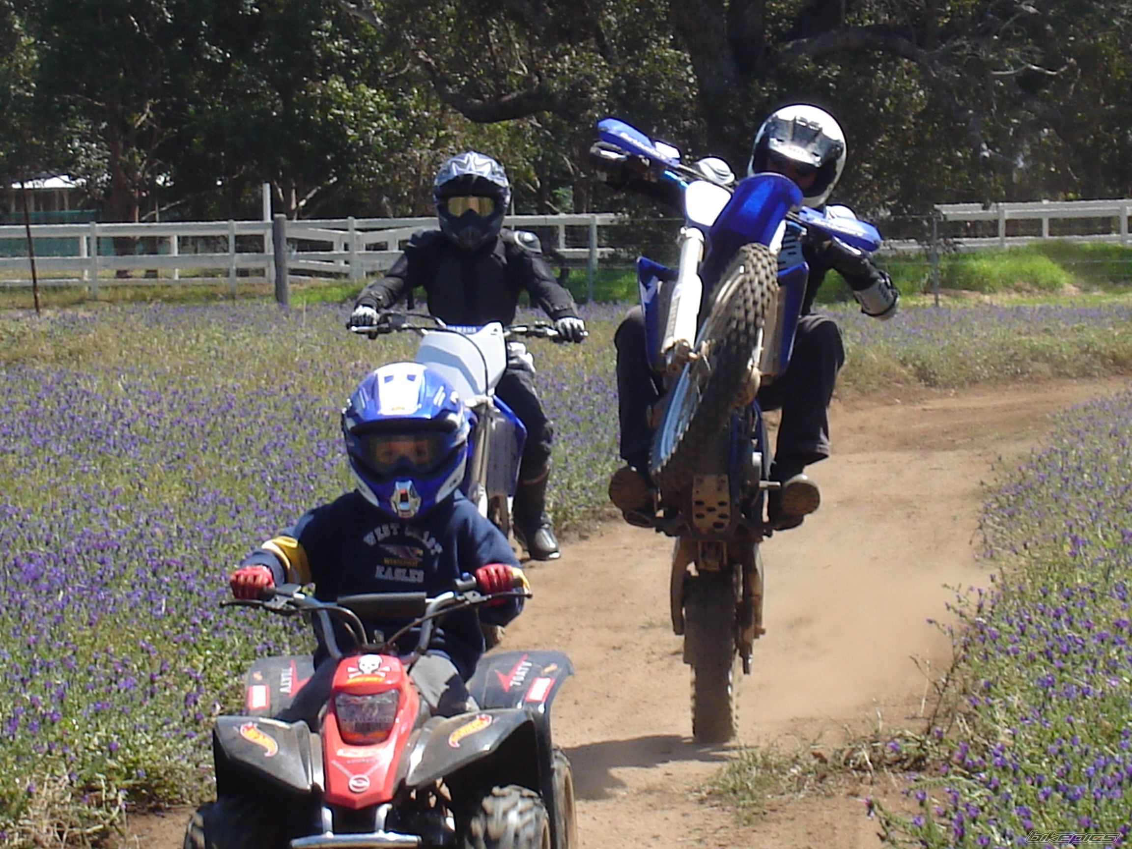 Photo 1475415