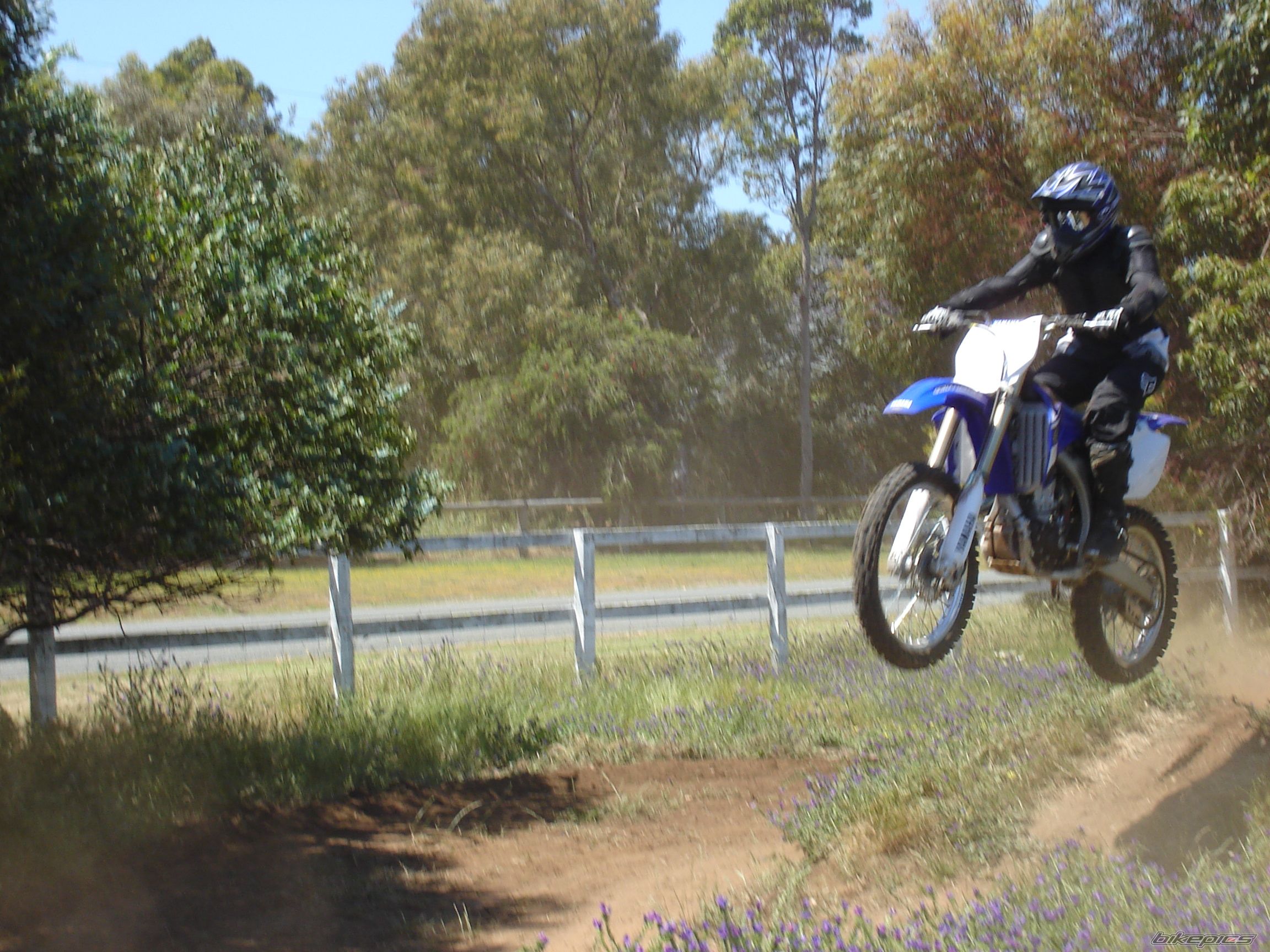Photo 1475419