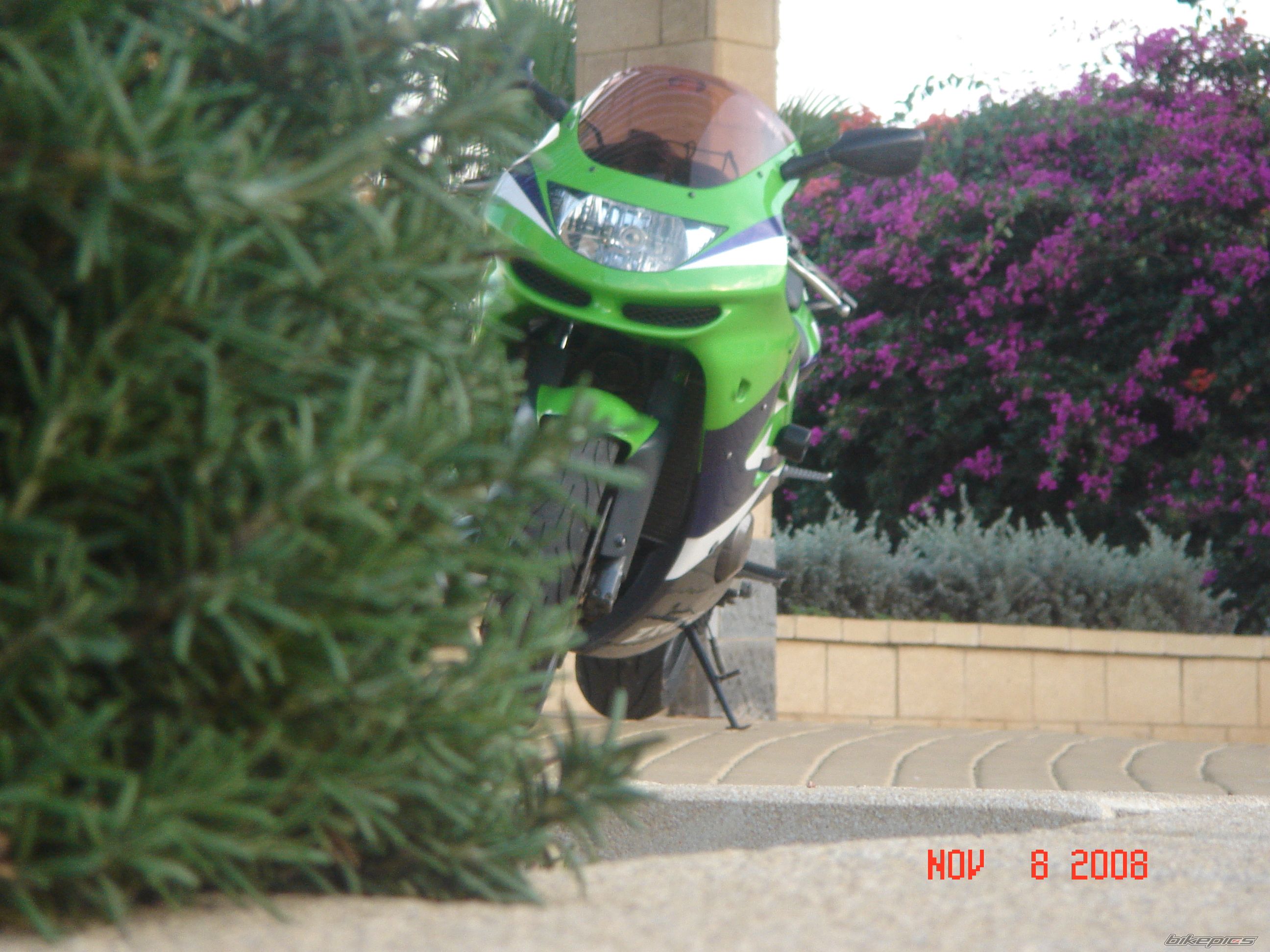 Photo 1475448