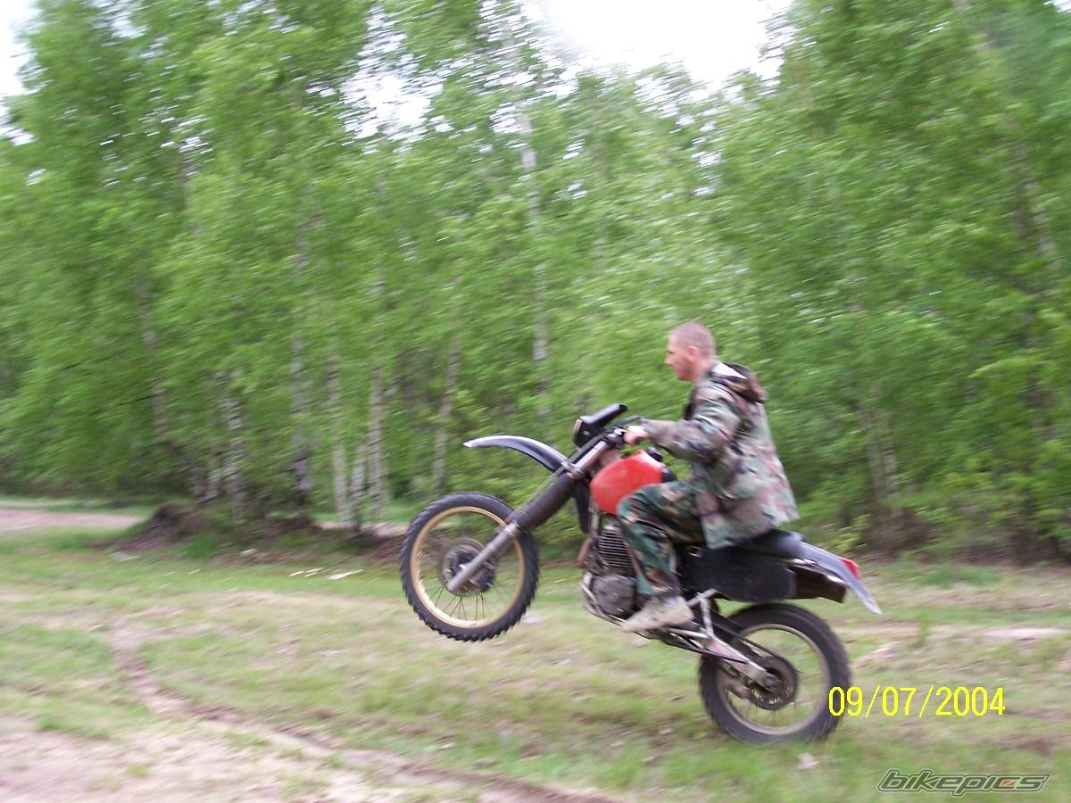 Photo 147564