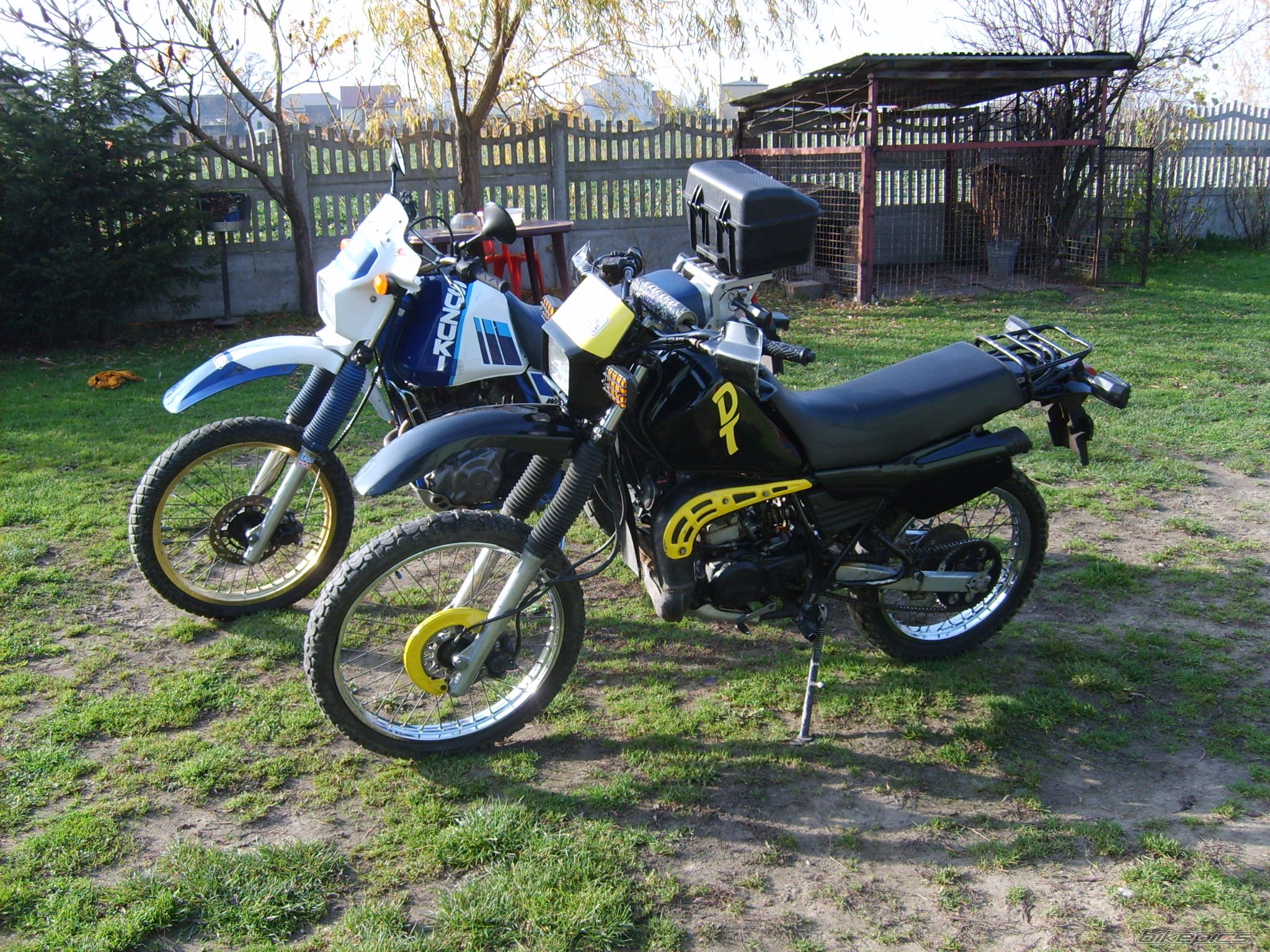 Photo 1475654
