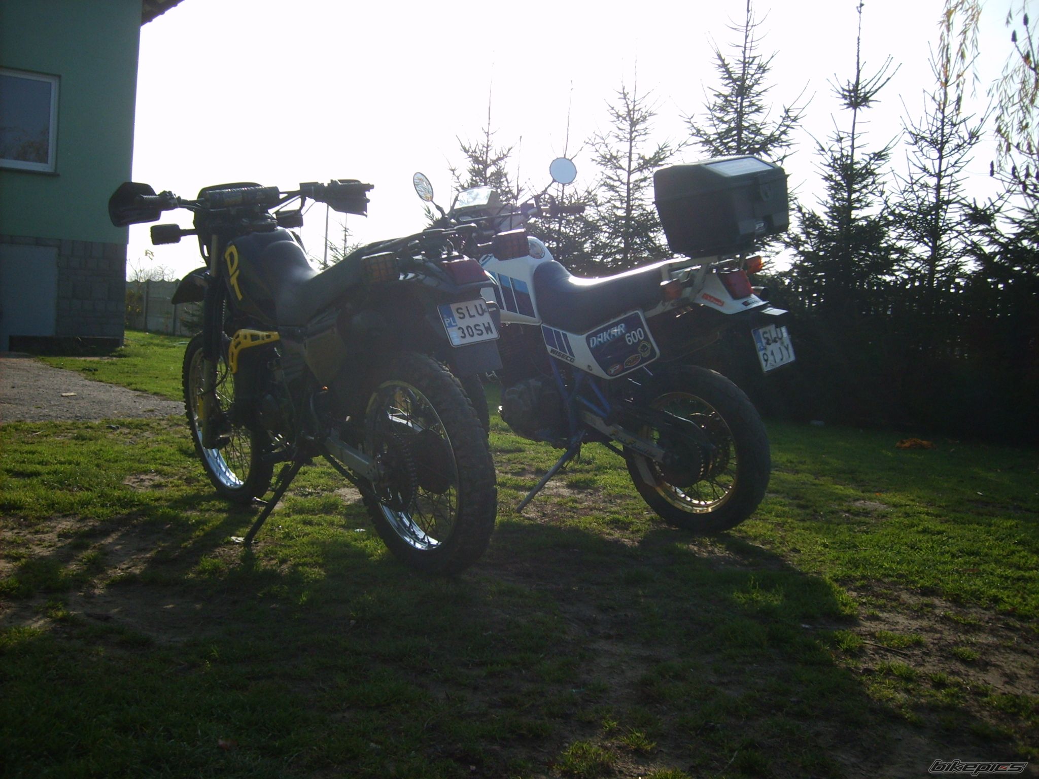 Photo 1475655