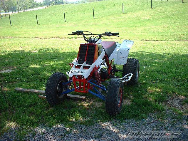 Photo 147575