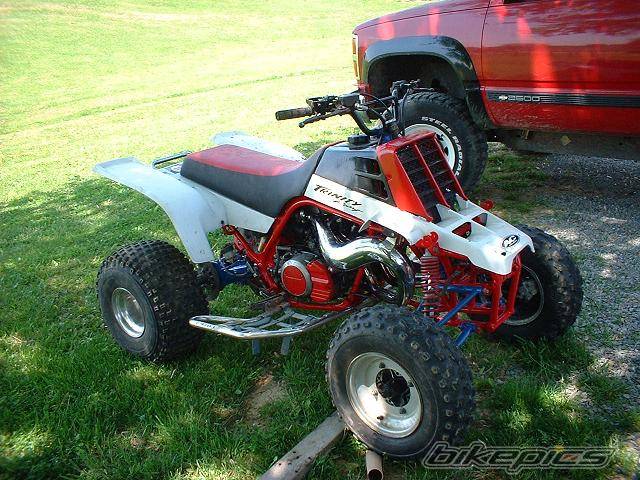 Photo 147579