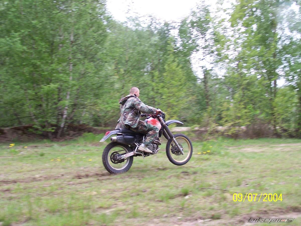 Photo 147583
