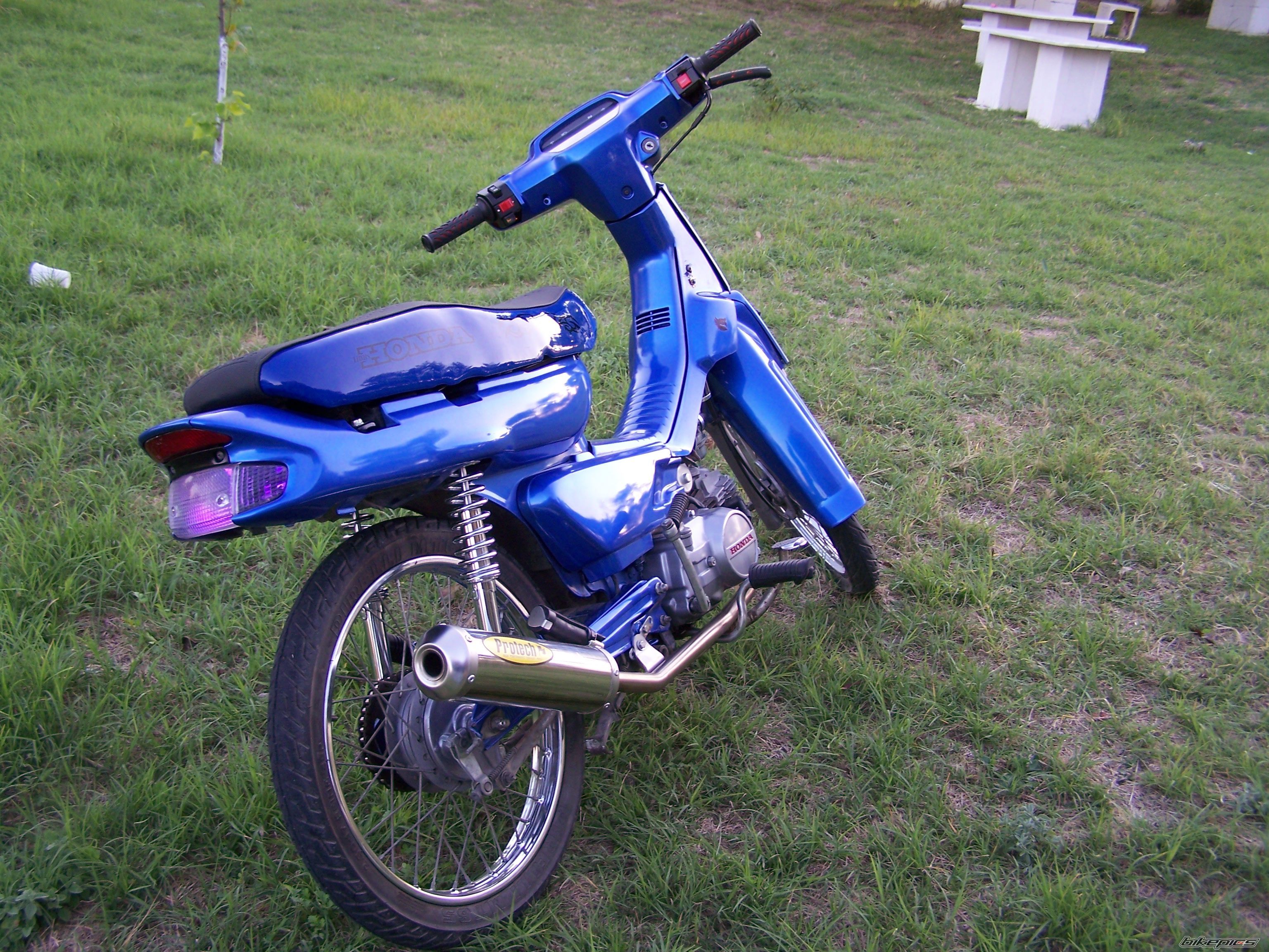 Photo 1475854