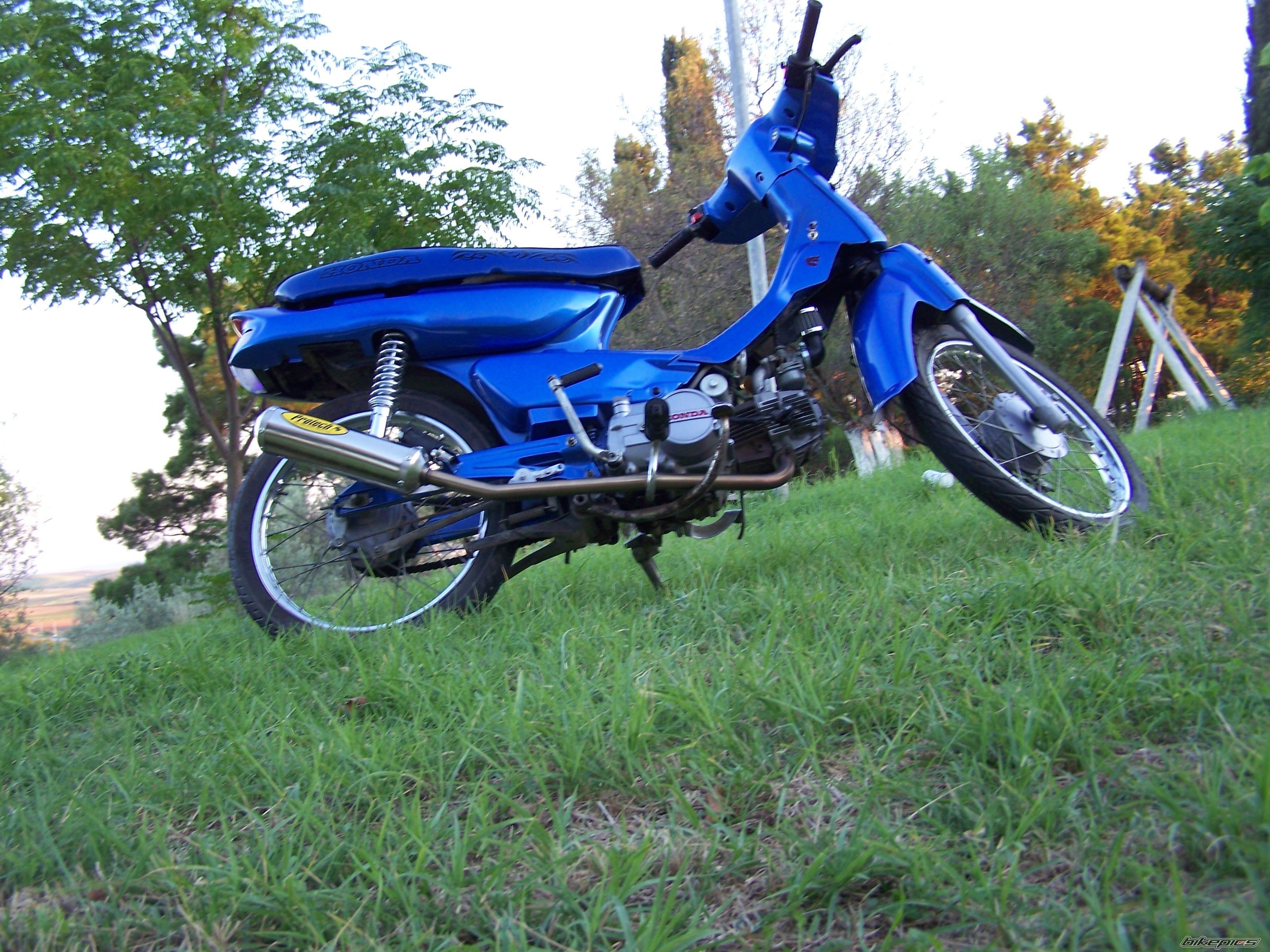 Photo 1475862