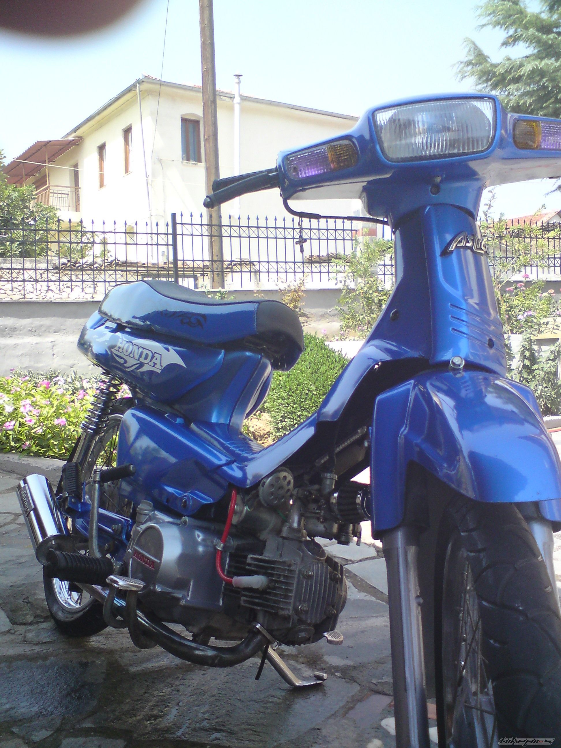 Photo 1475872
