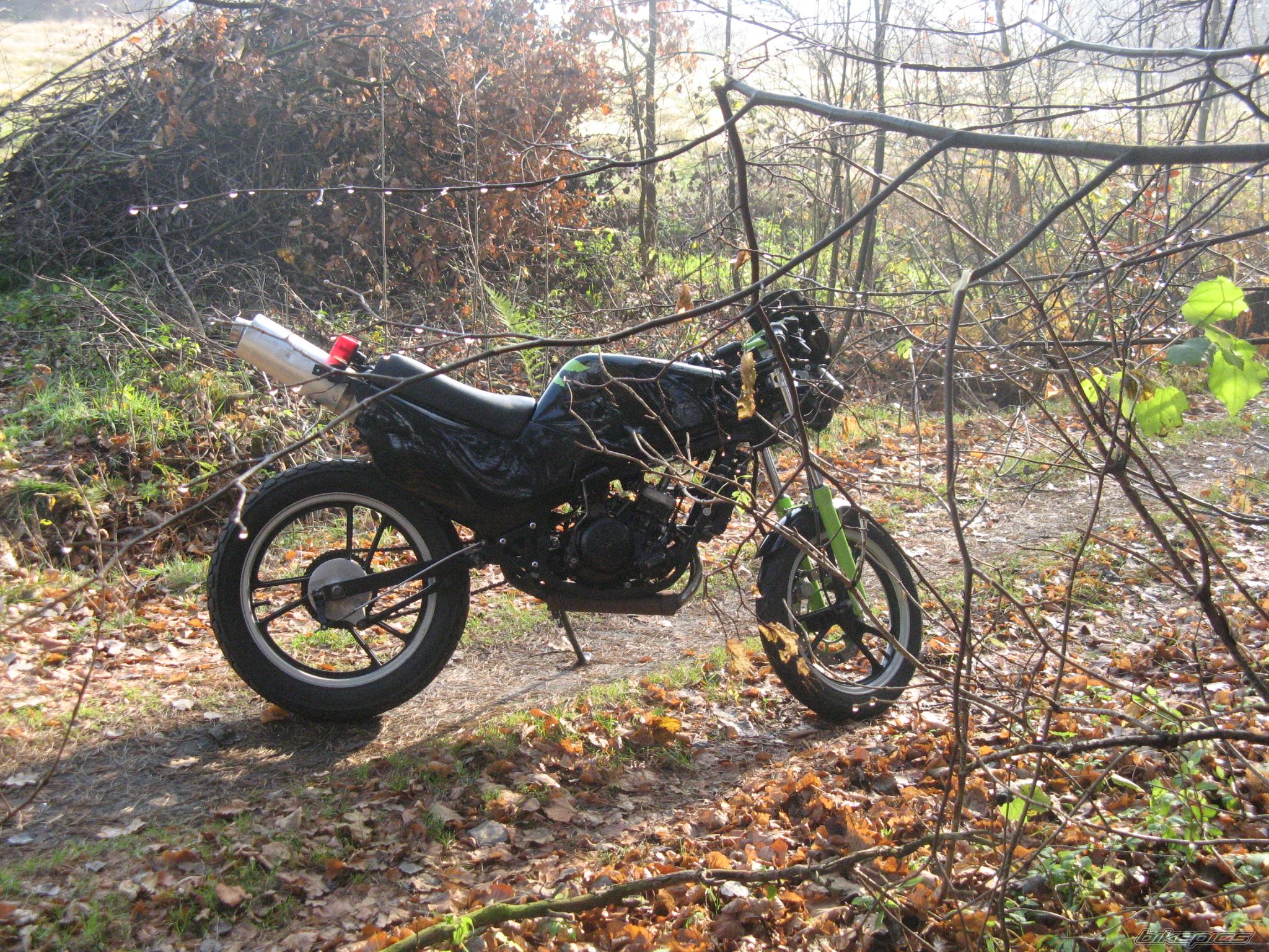 Photo 1476159