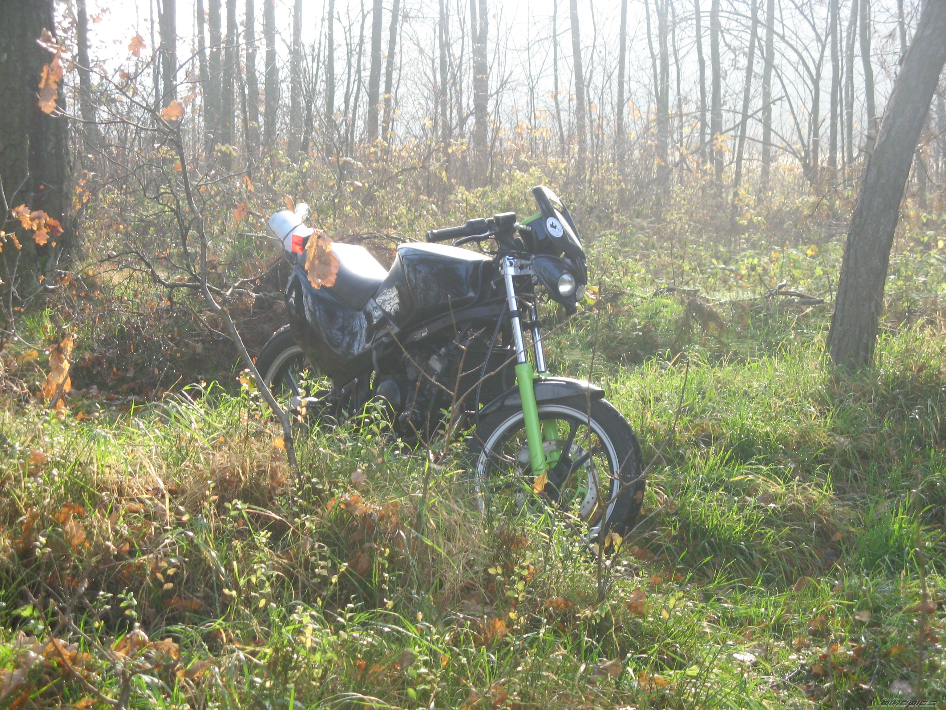Photo 1476218