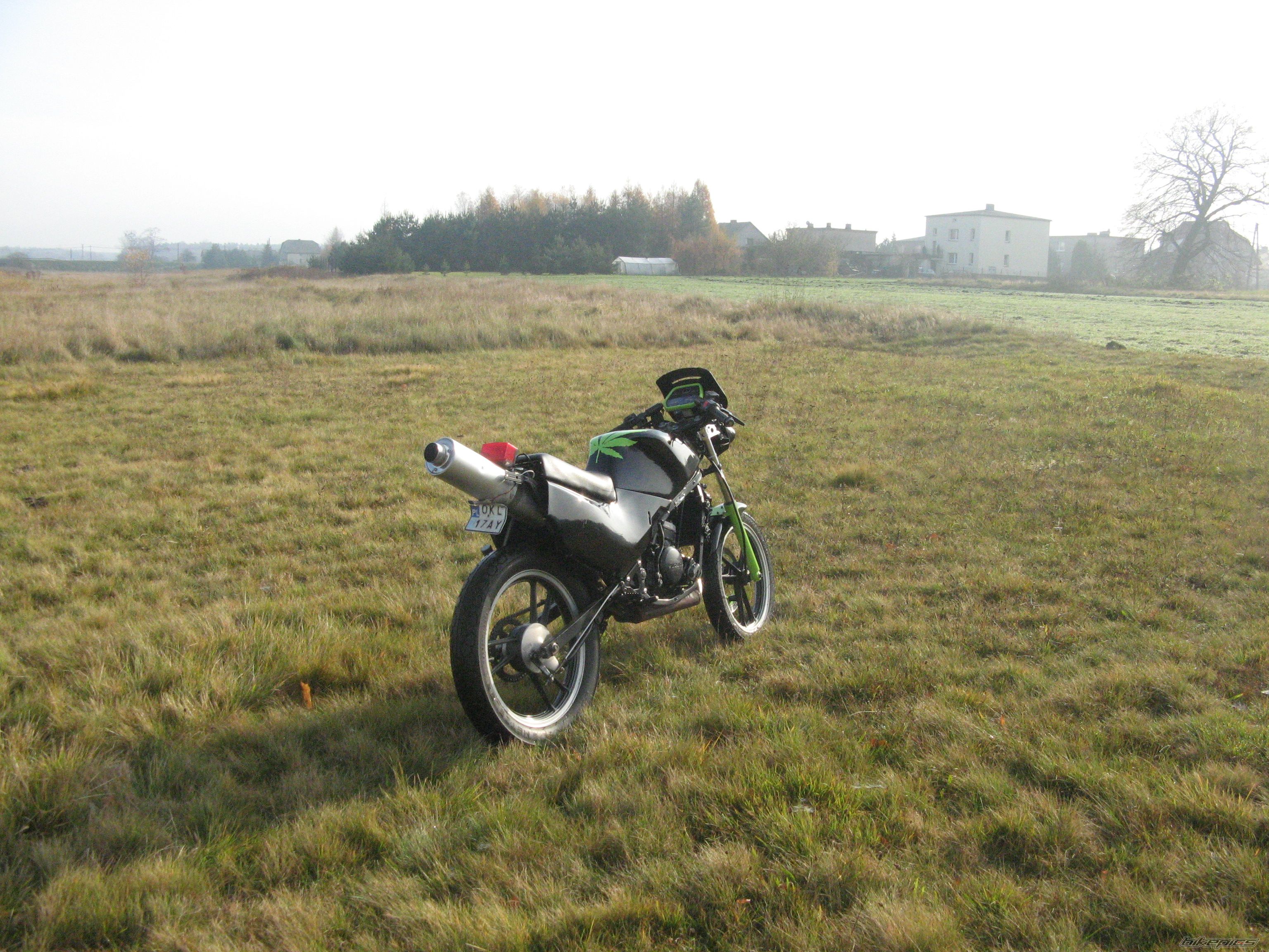 Photo 1476229