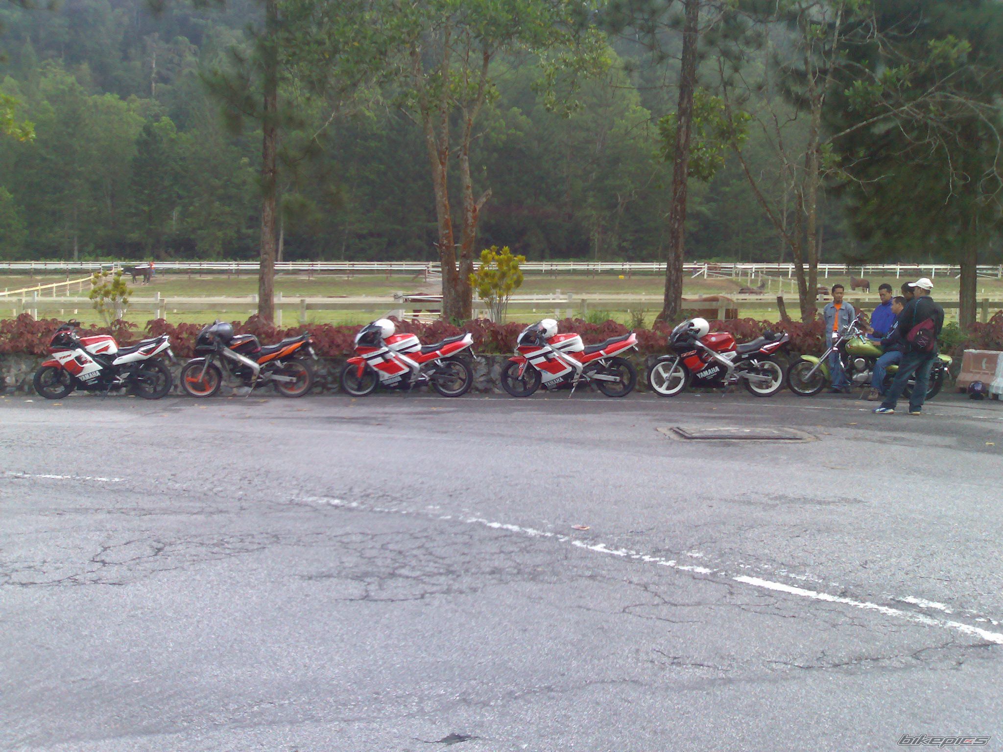 Bike Photo 1476251