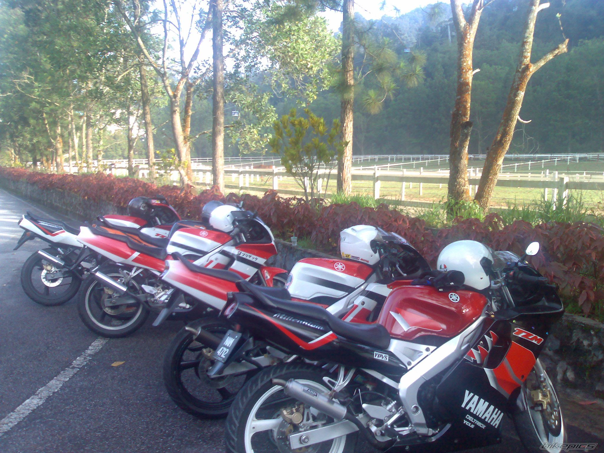 Photo 1476268