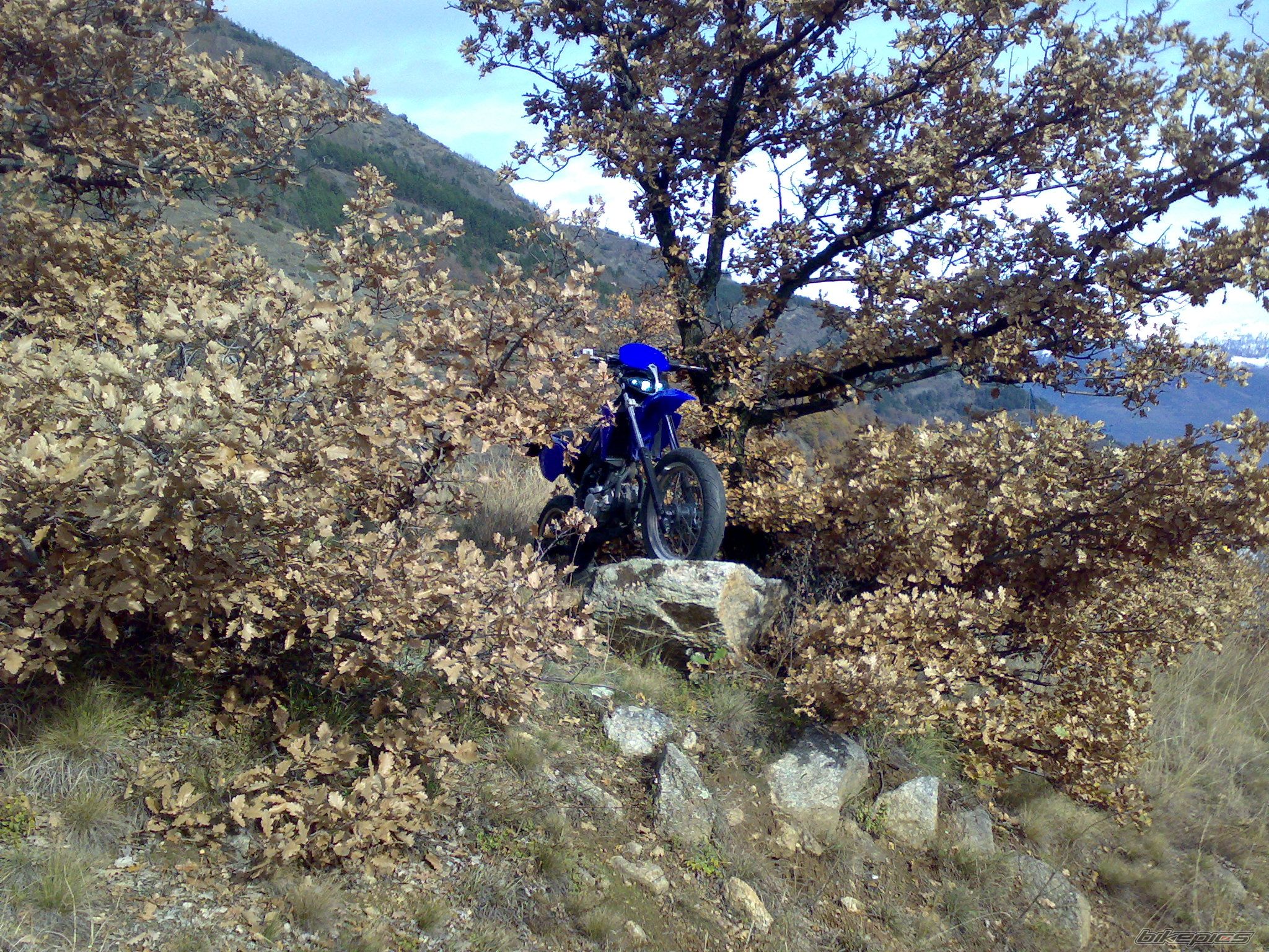 Photo 1476435