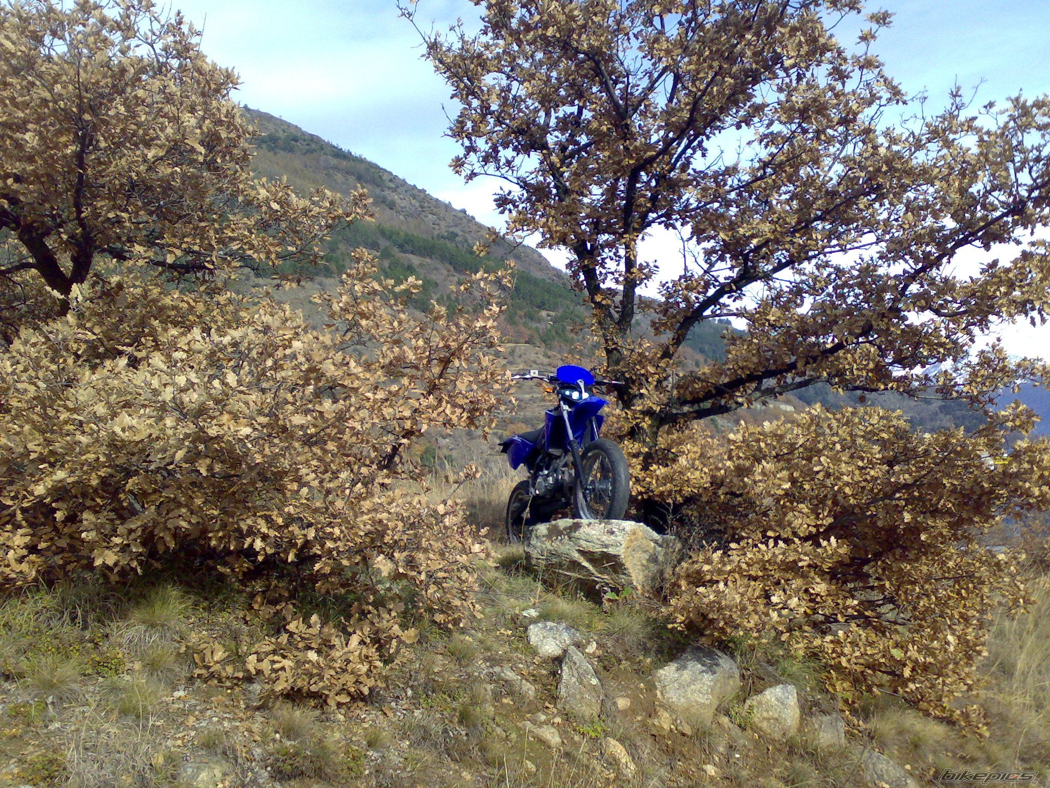 Photo 1476440