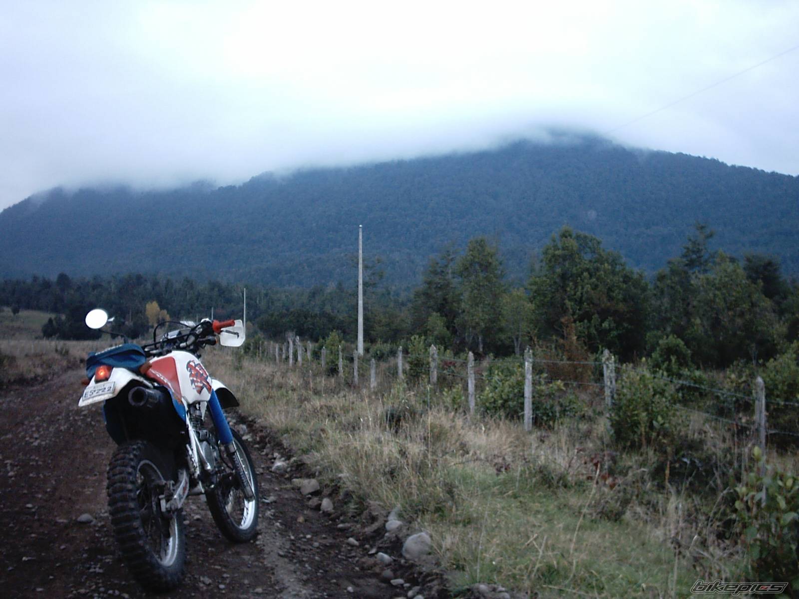 Photo 147677