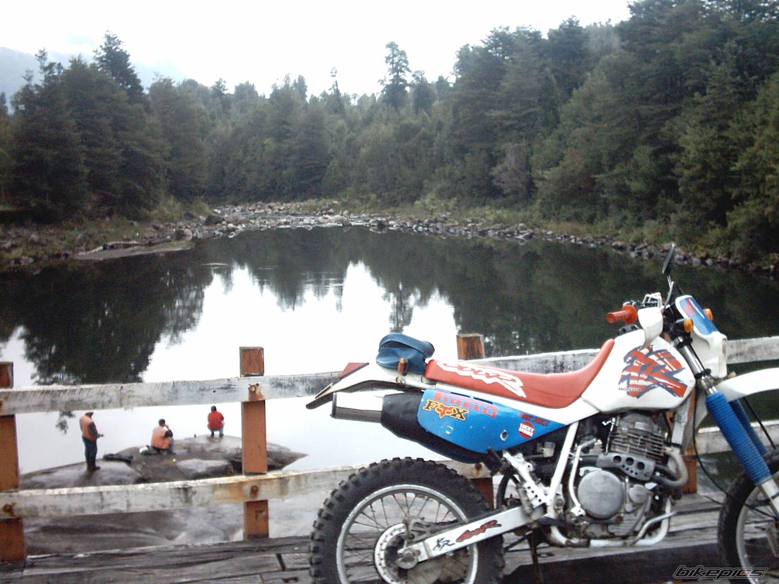 Photo 147680