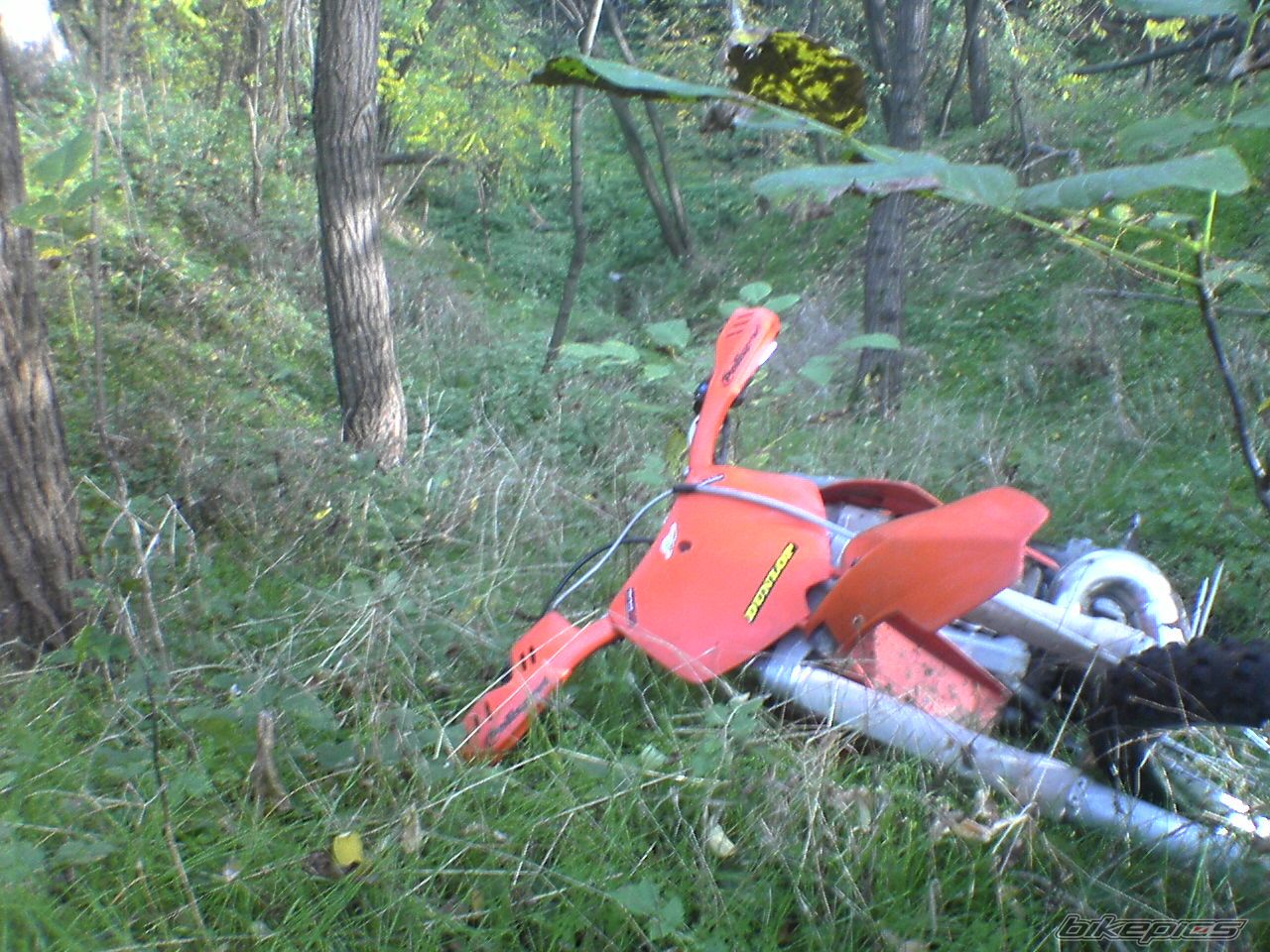 Photo 1476924