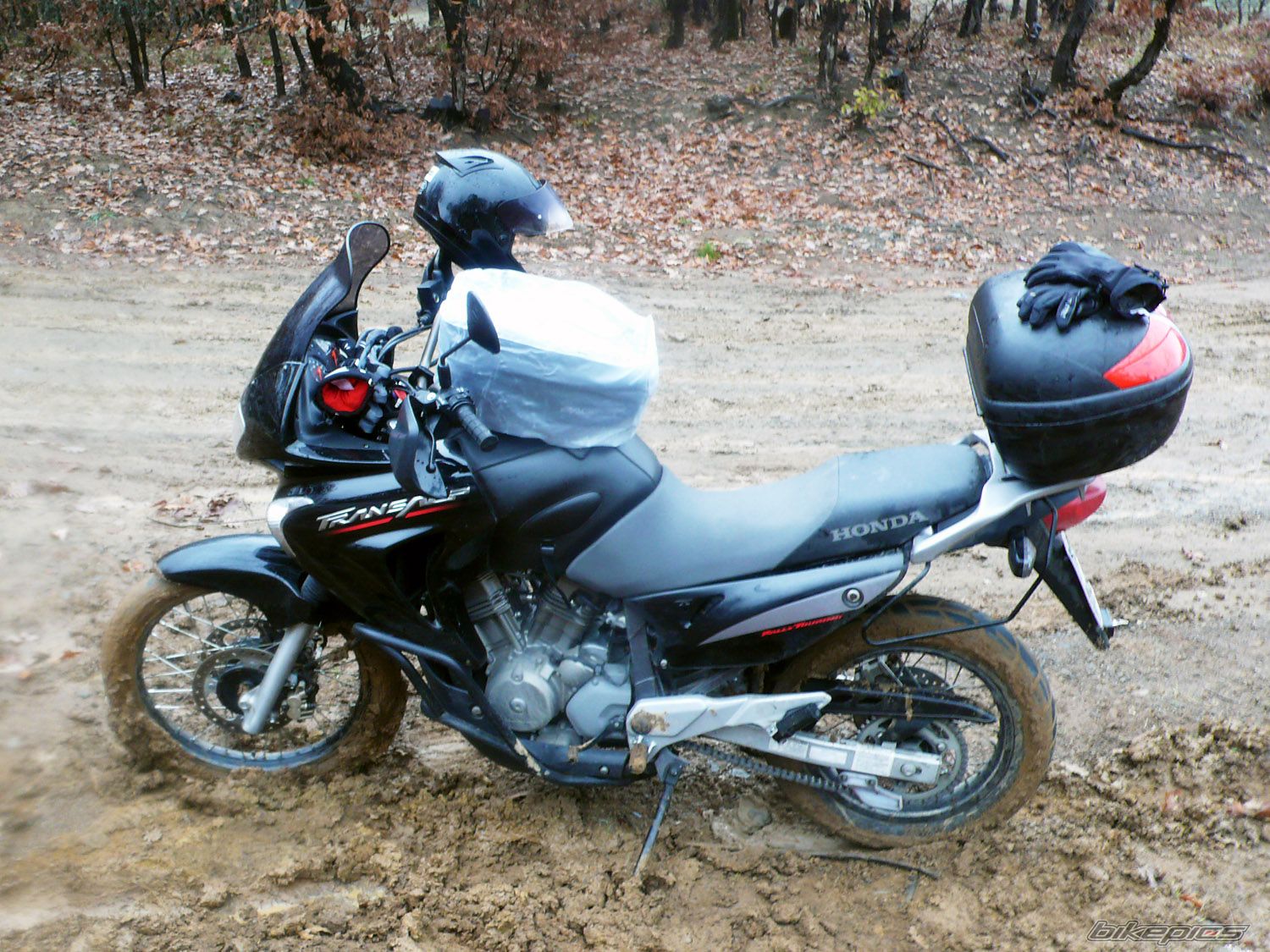 Bike Photo 1477019