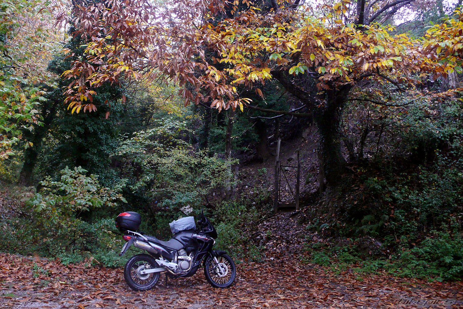 Bike Photo 1477023